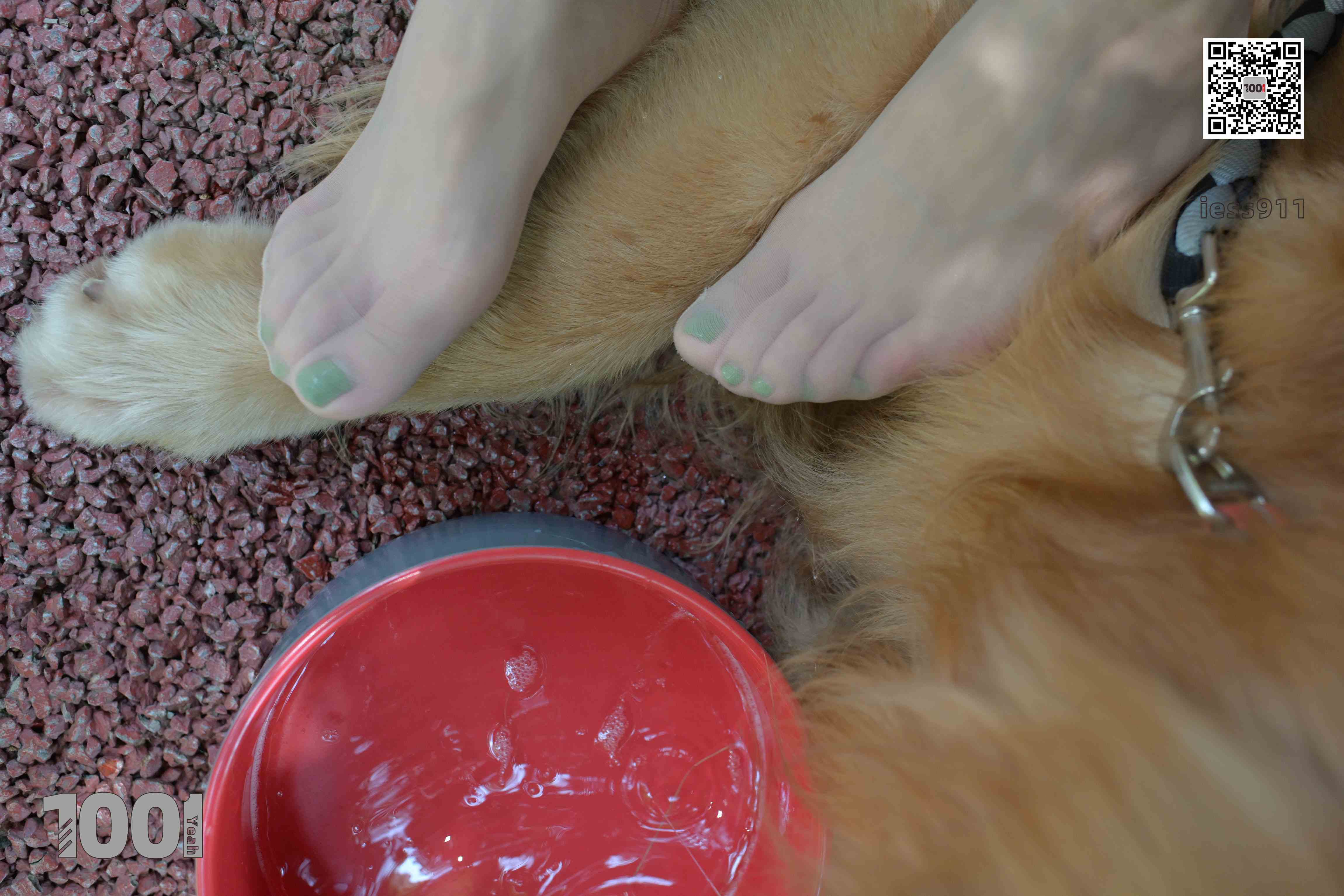 China Beauty Legs and feet 763-2