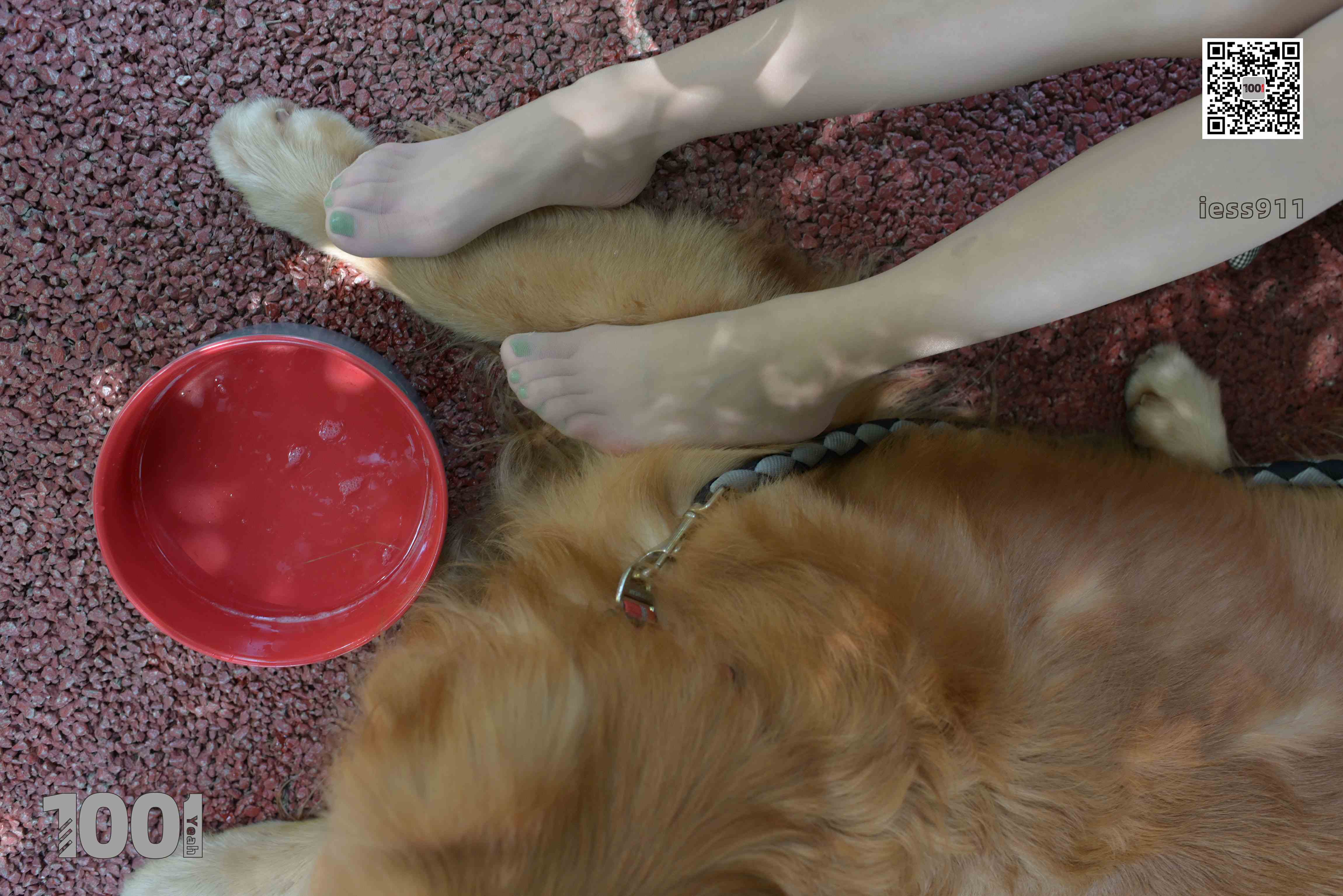 China Beauty Legs and feet 763-2