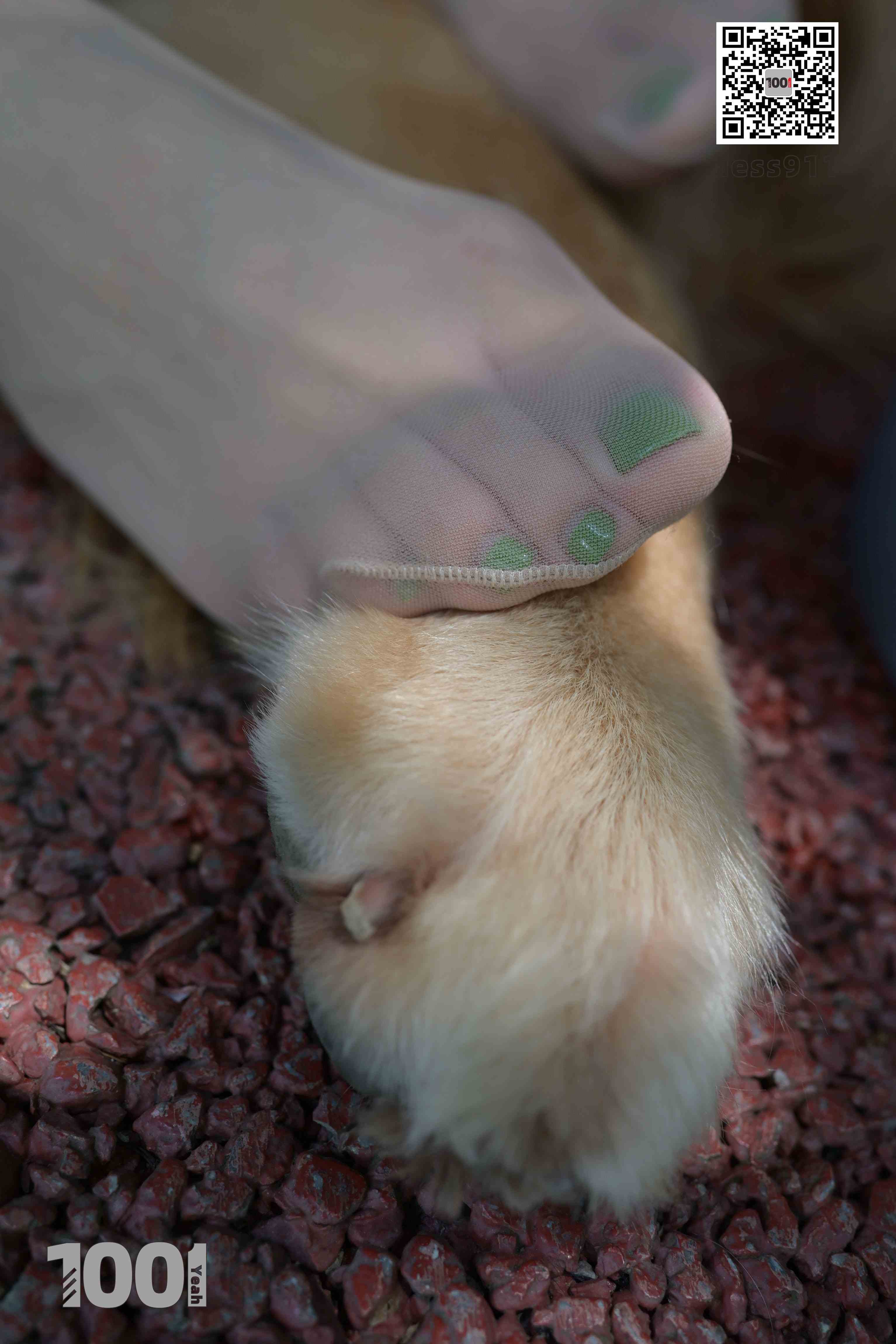 China Beauty Legs and feet 763-2