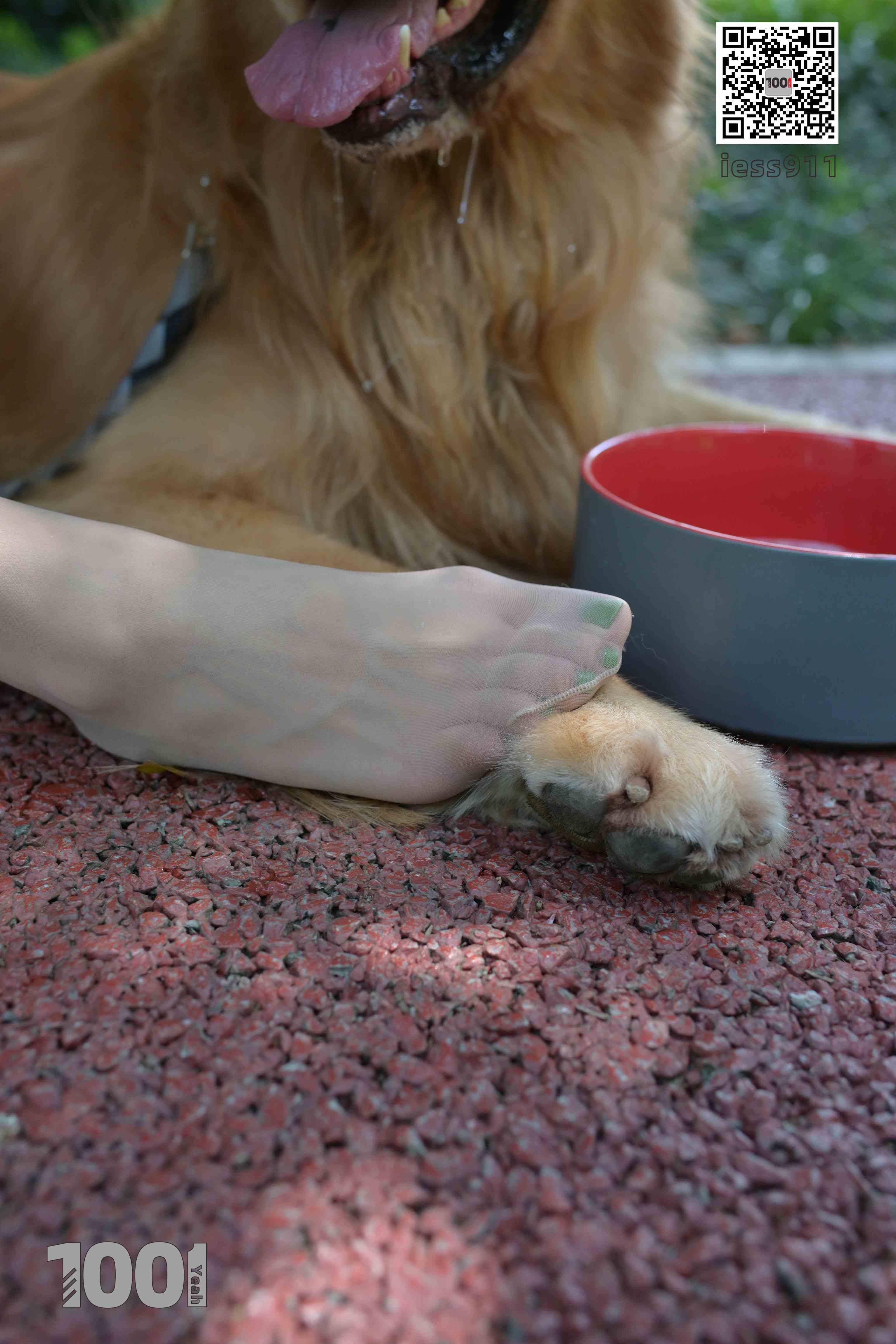 China Beauty Legs and feet 763-2