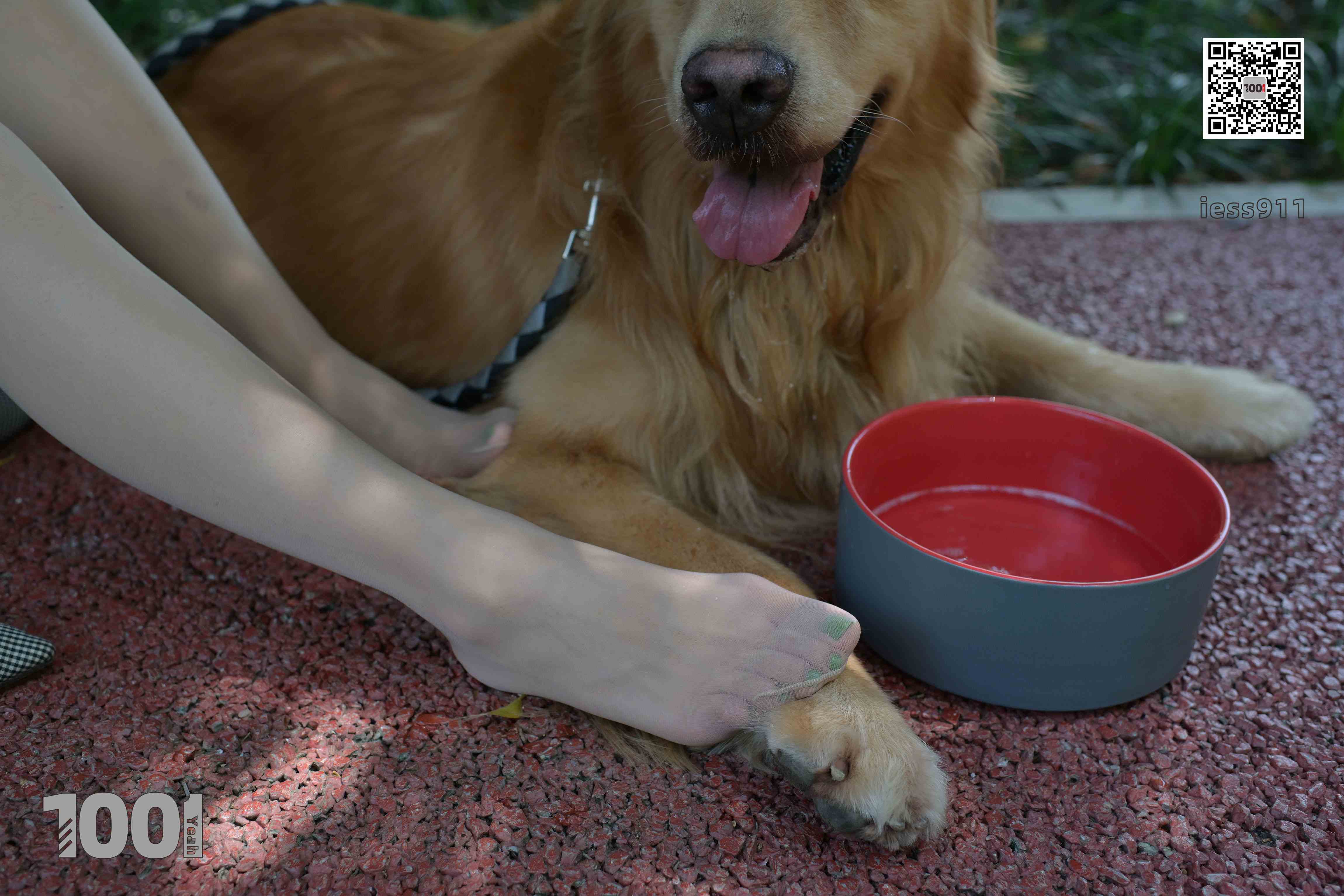 China Beauty Legs and feet 763-2