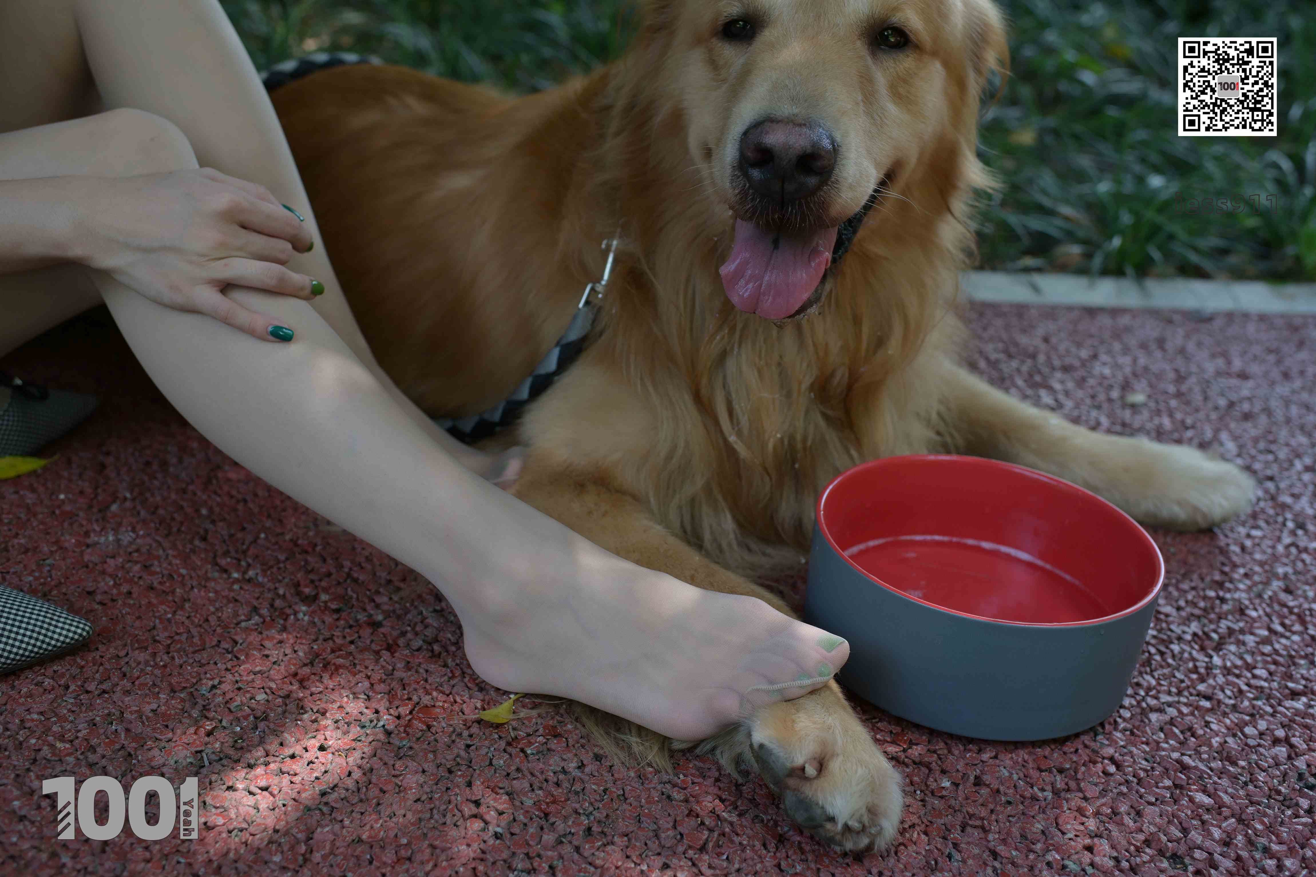 China Beauty Legs and feet 763-2