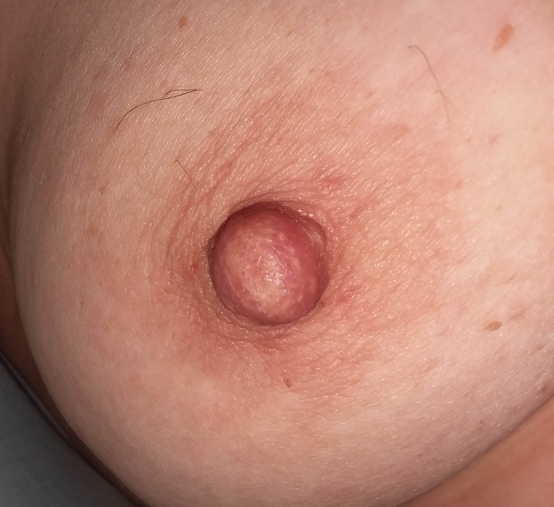 Tracey Stoute-Greene SSBBW Bajan Whore