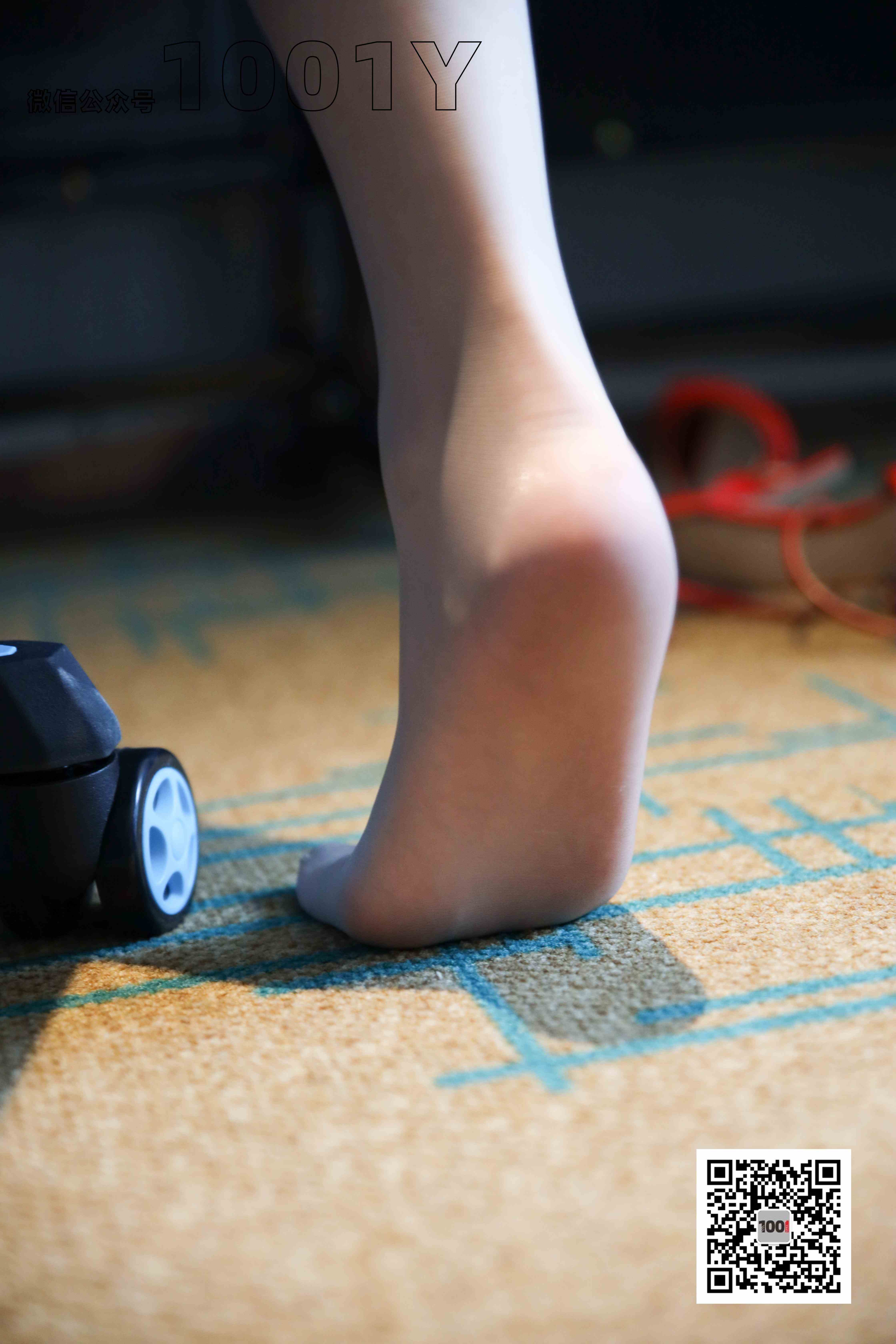 China Beauty Legs and feet 764-1