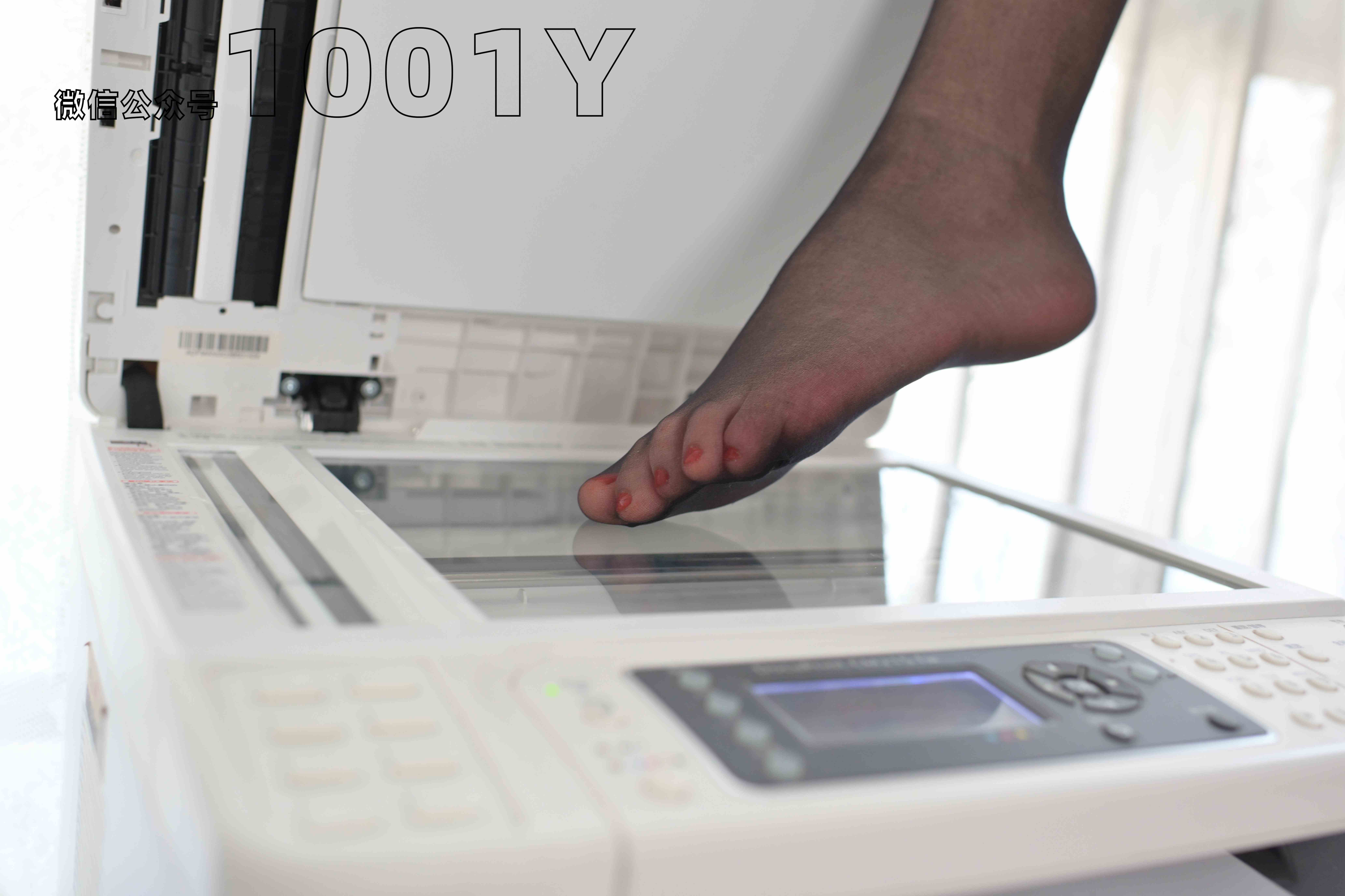 China Beauty Legs and feet 768-2