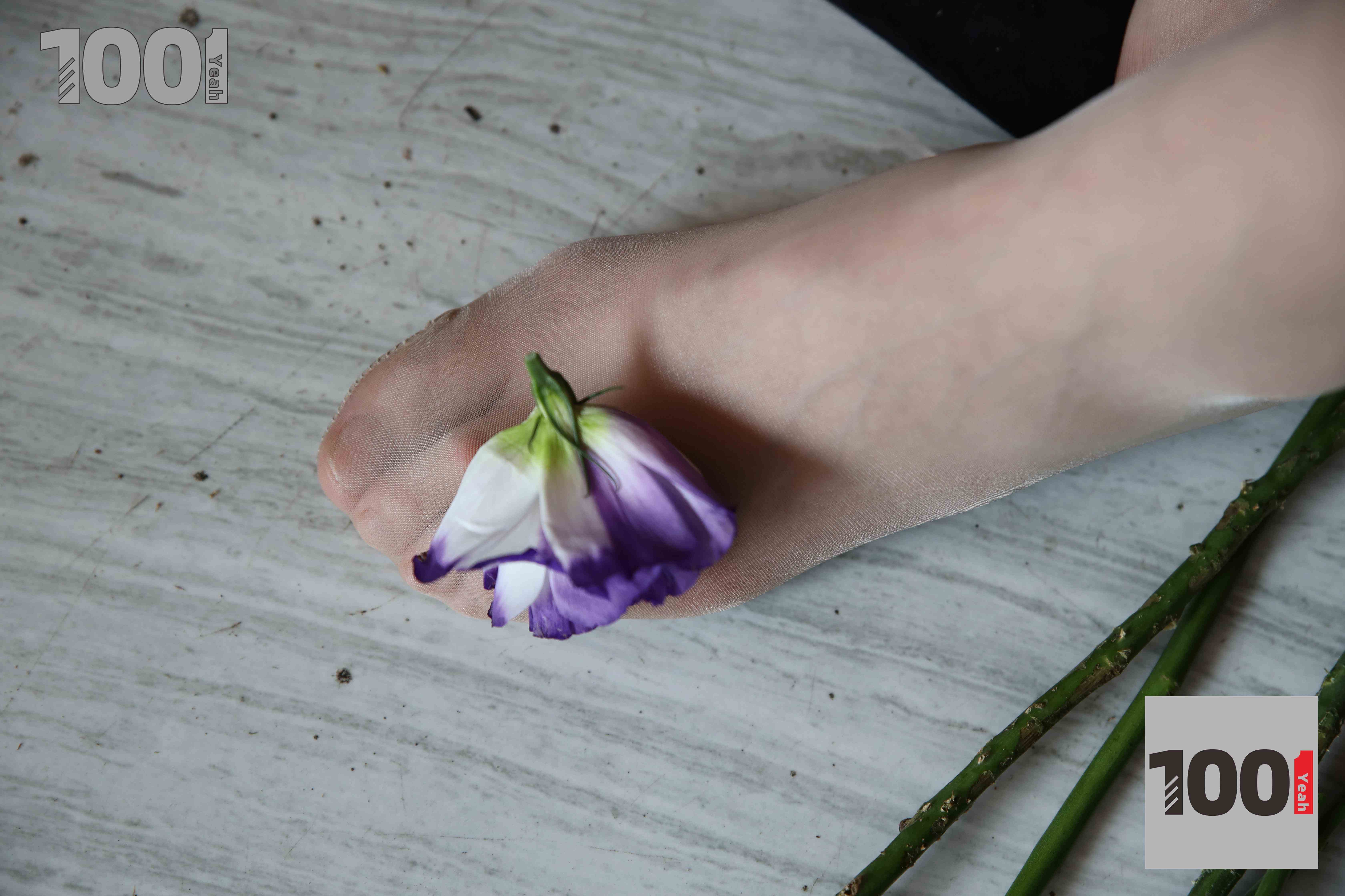 China Beauty Legs and feet 769-3