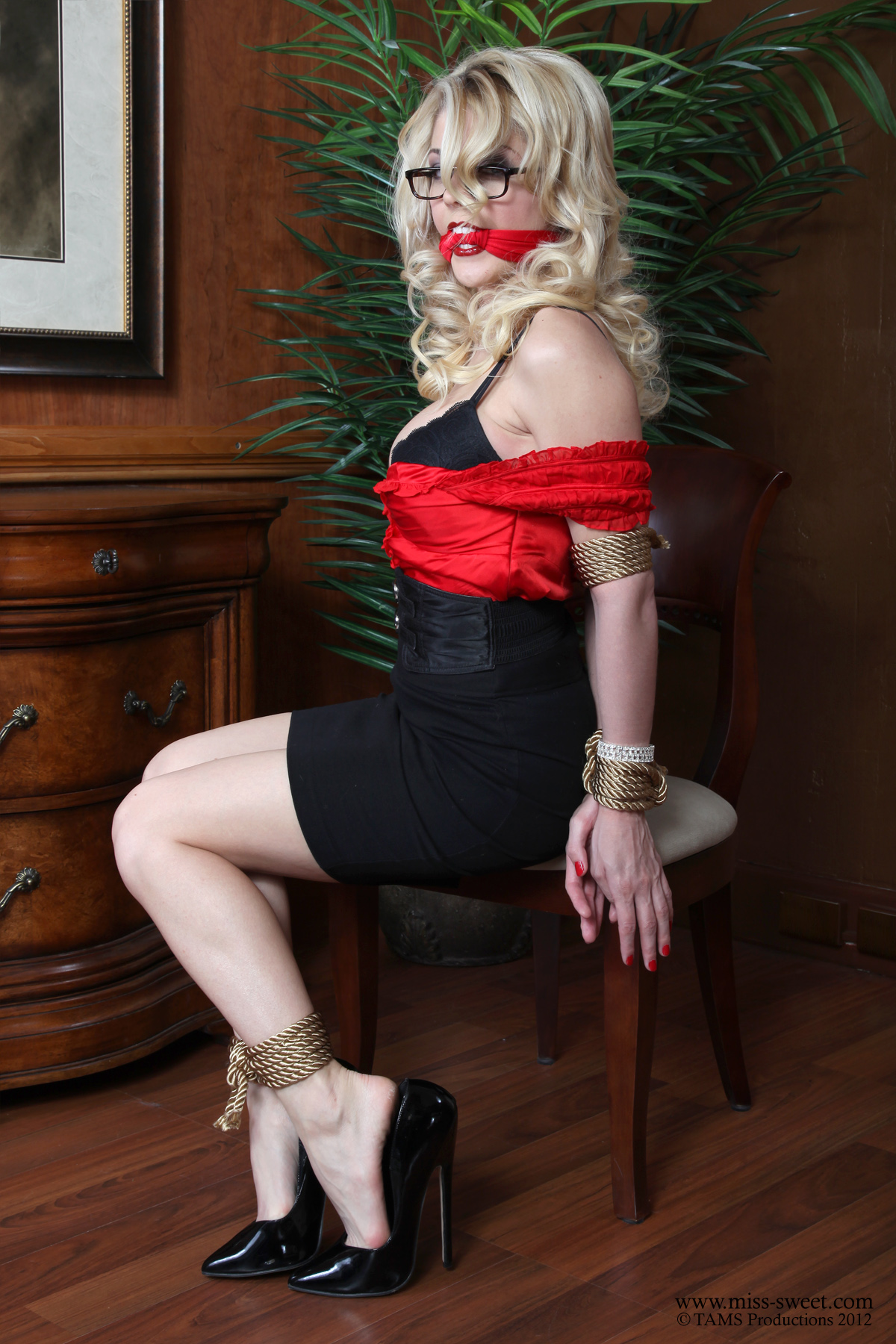 bondage sweetheart 11-2