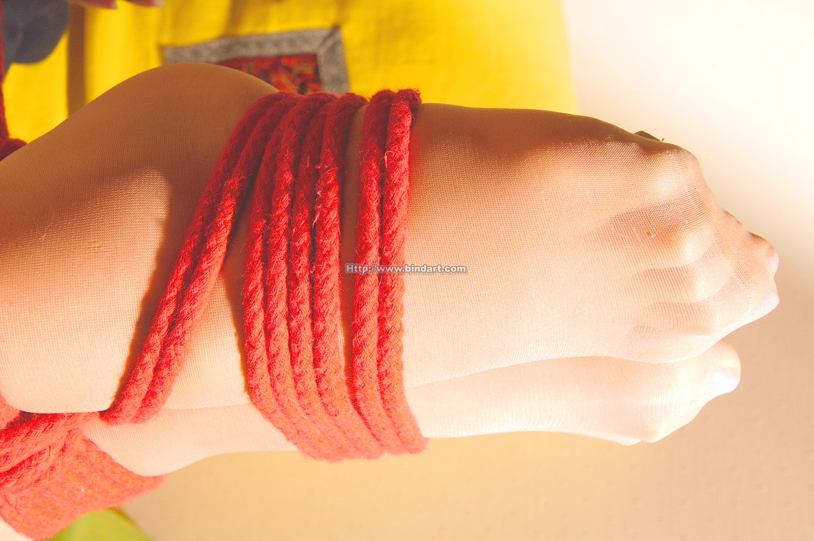 Chinese lady bondage 184