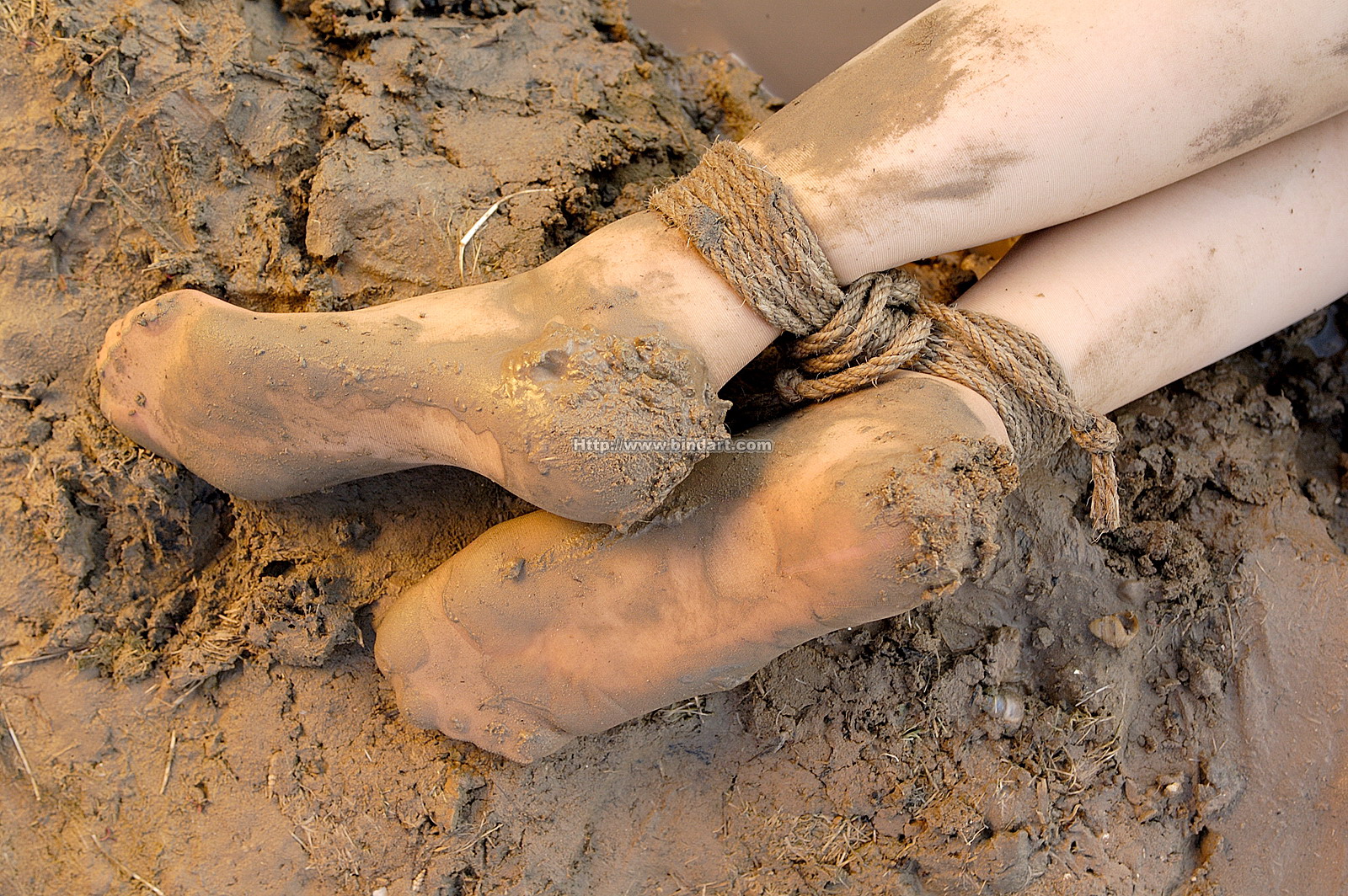 Chinese lady bondage 188