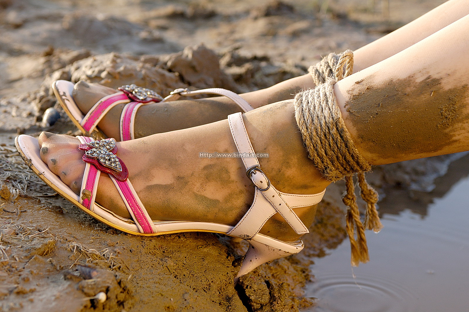 Chinese lady bondage 188