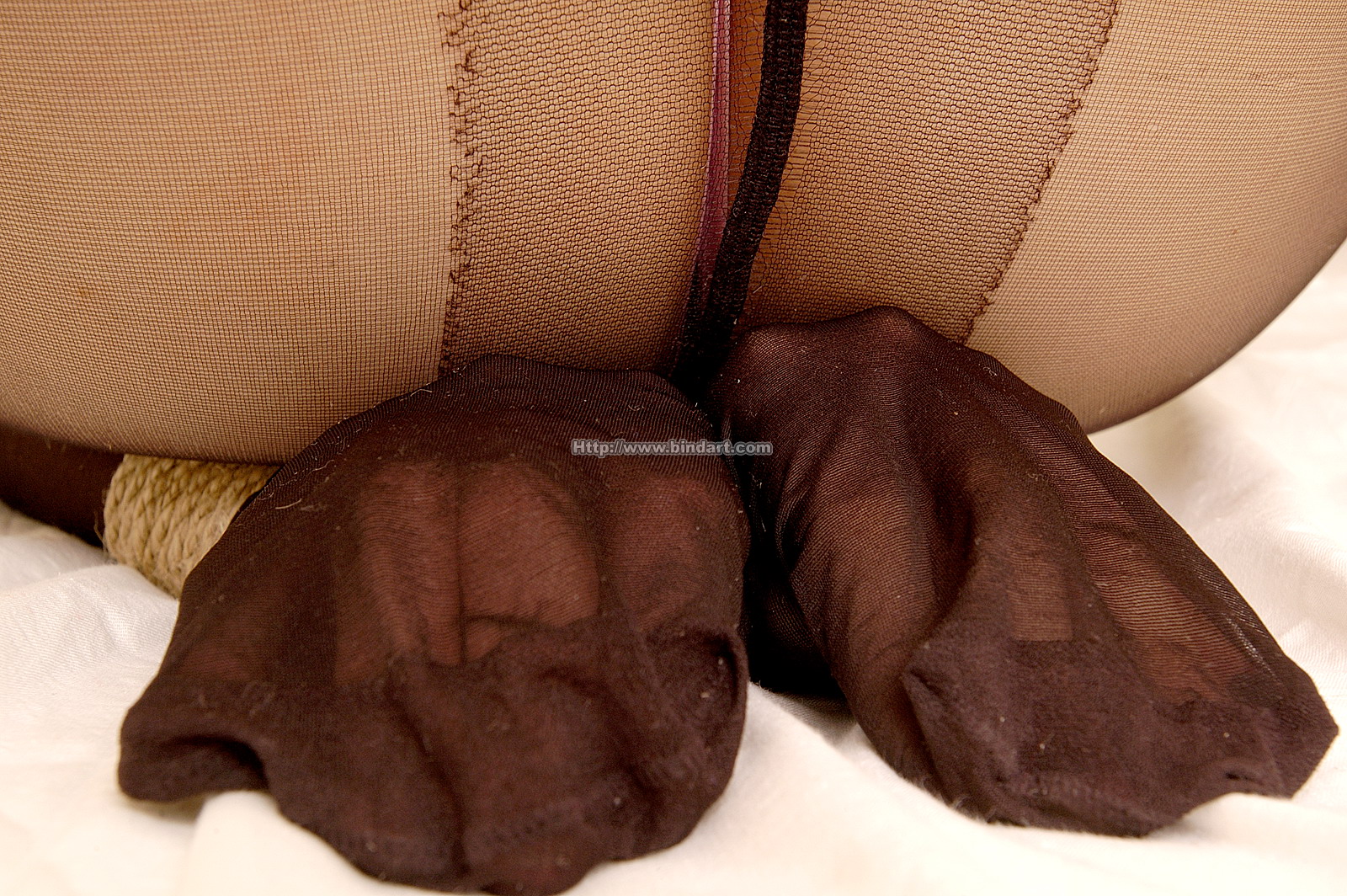 Chinese lady bondage 194