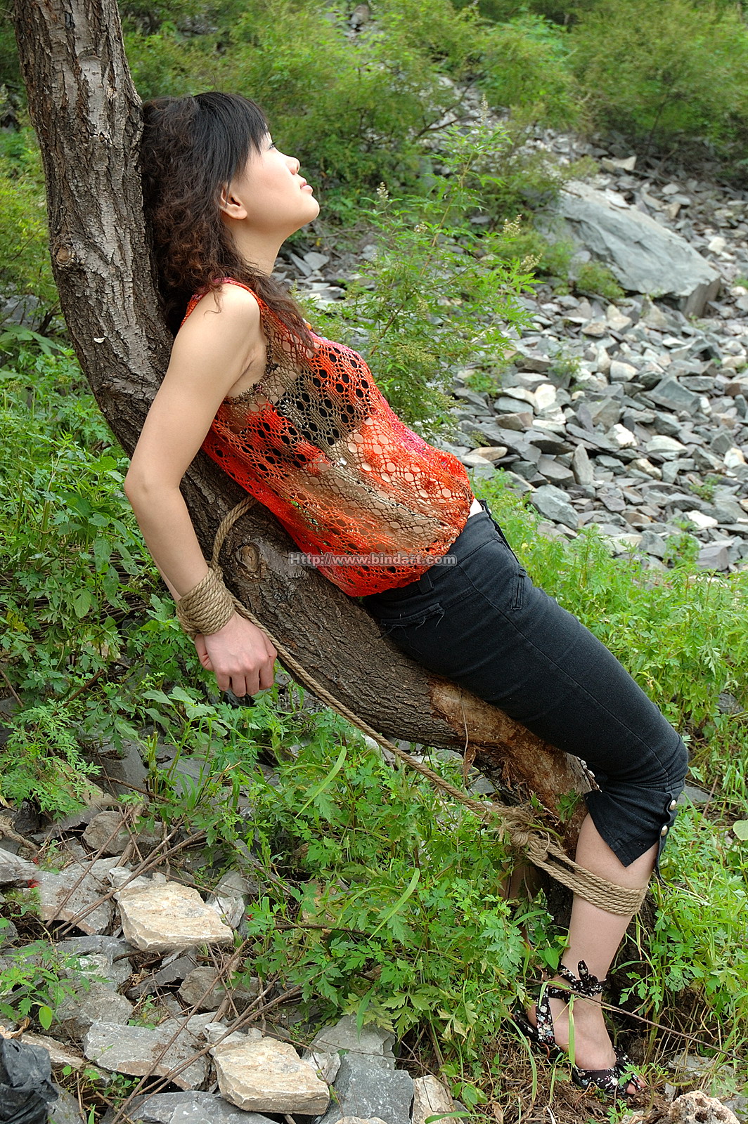 Chinese lady bondage 270