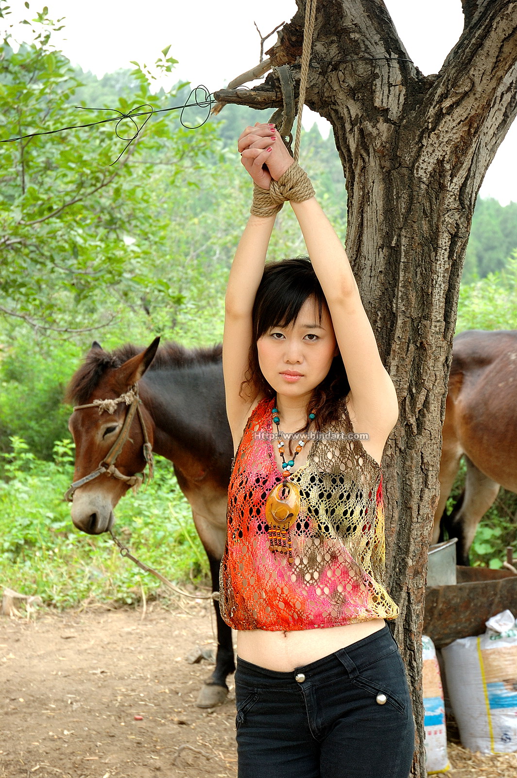 Chinese lady bondage 270