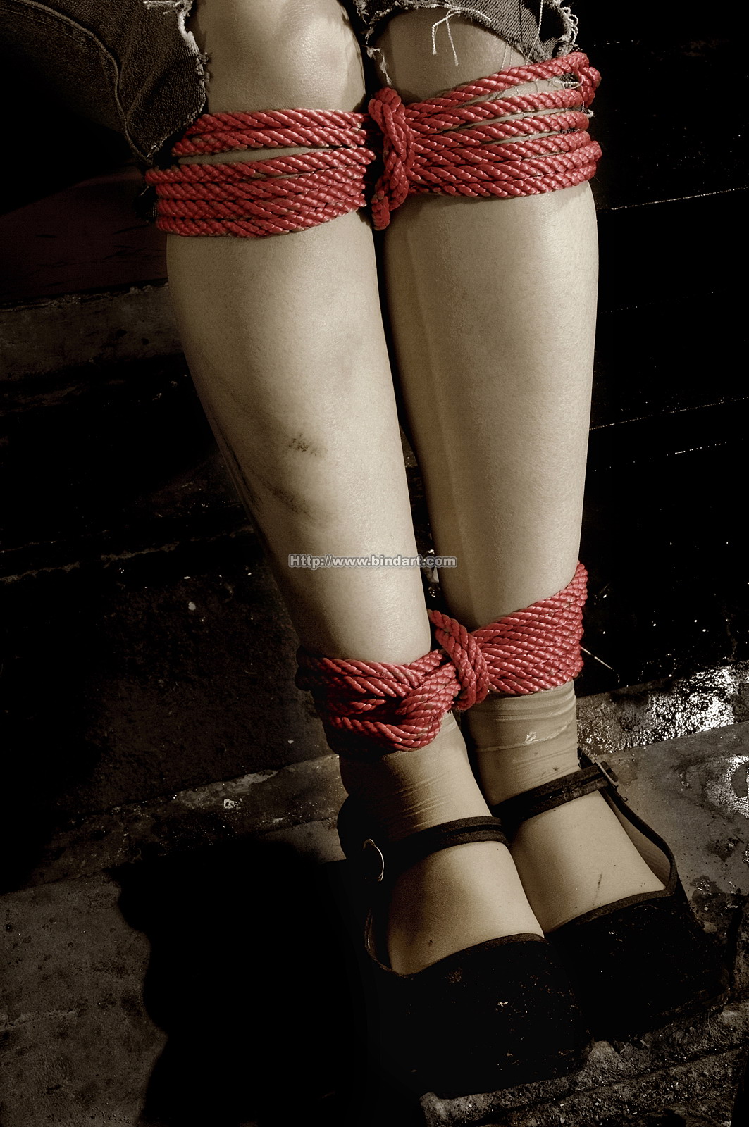 Chinese lady bondage 284