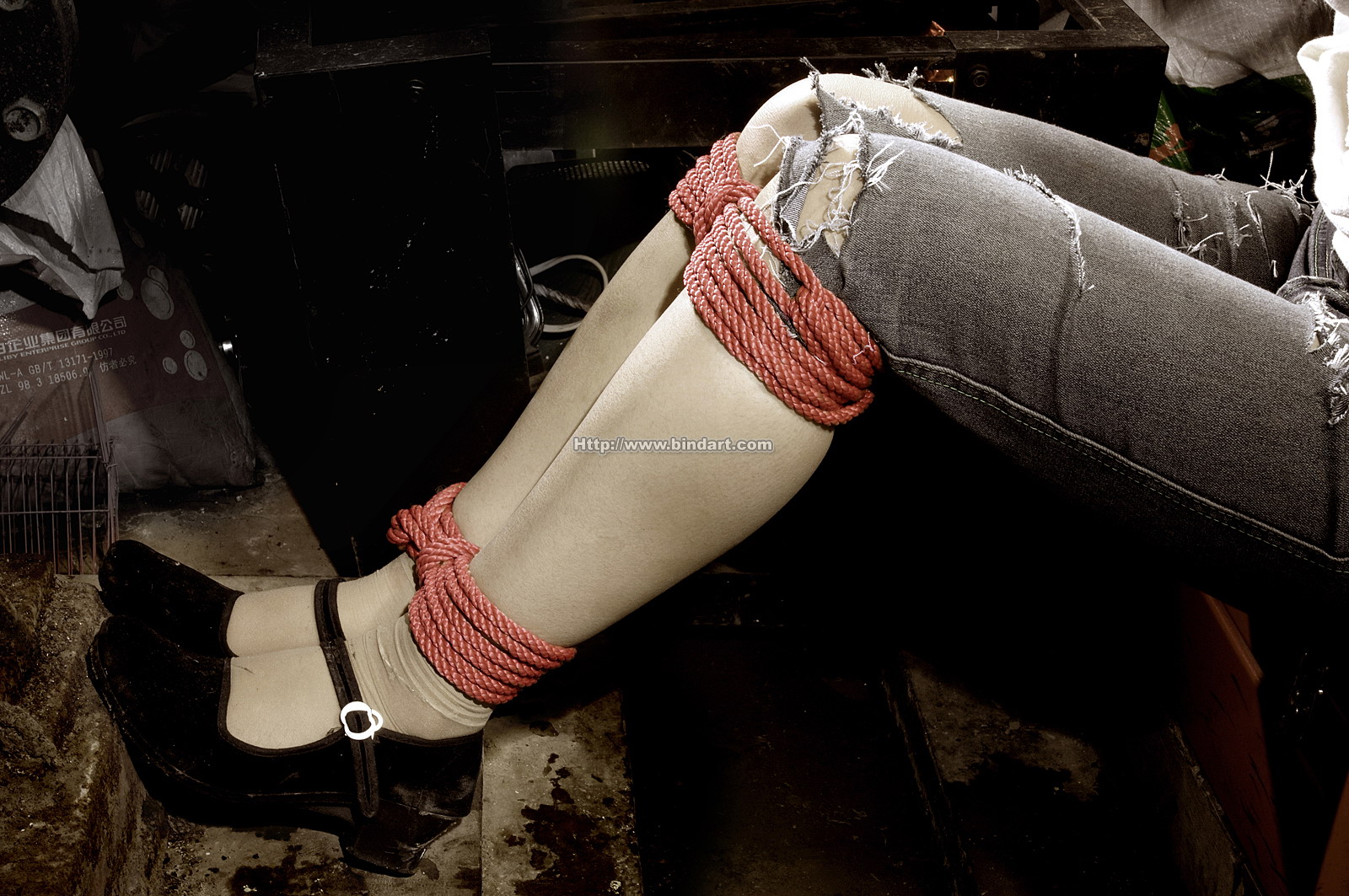 Chinese lady bondage 284