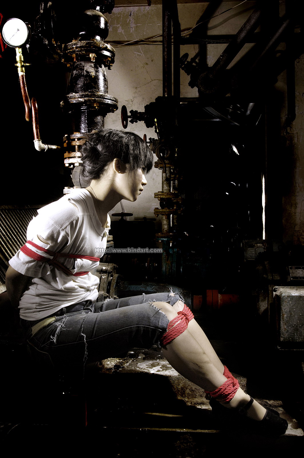 Chinese lady bondage 284