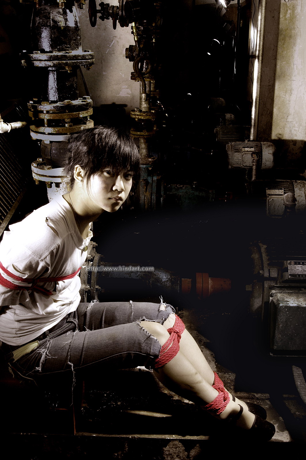 Chinese lady bondage 284