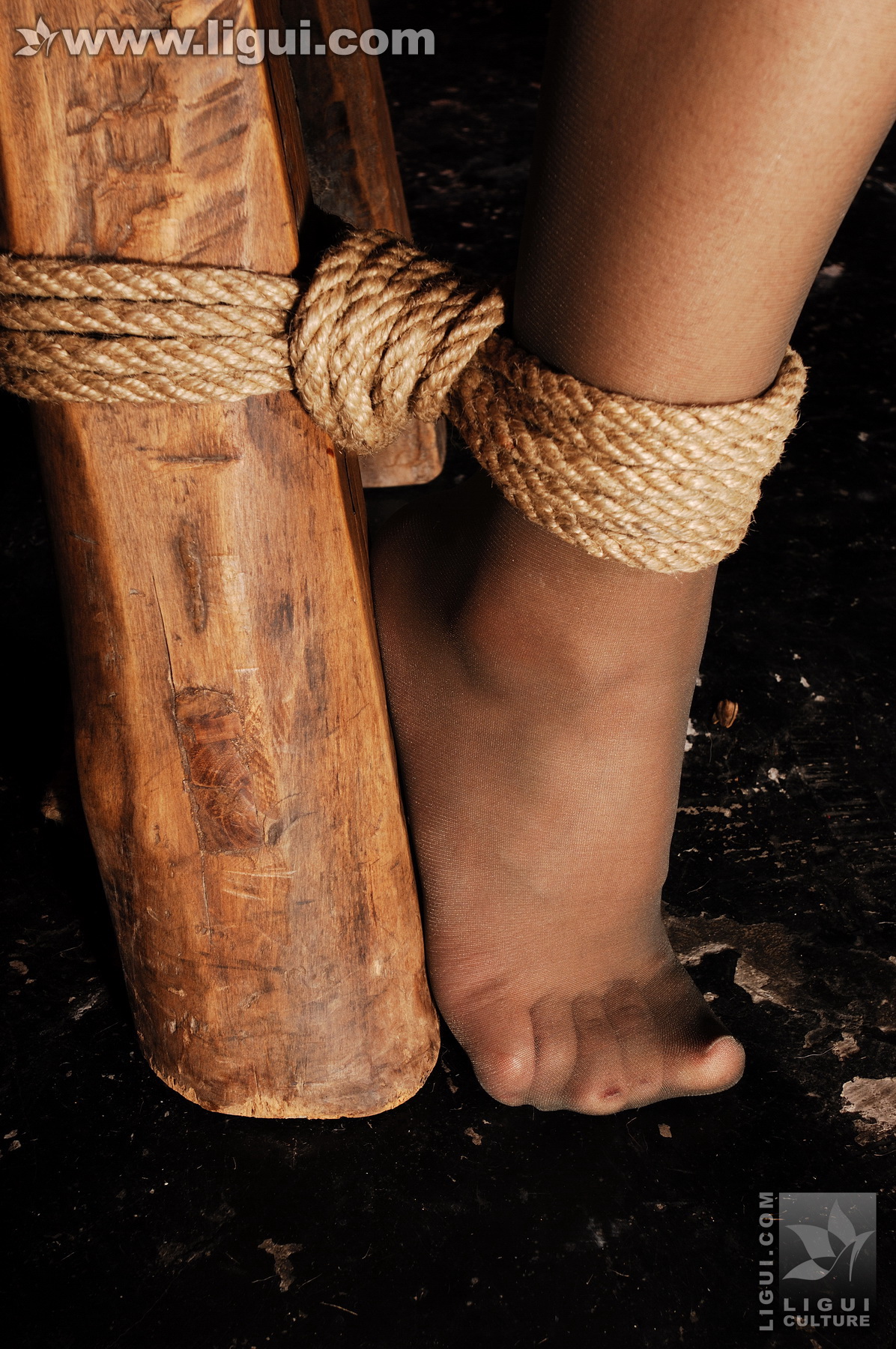 Chinese lady bondage 379