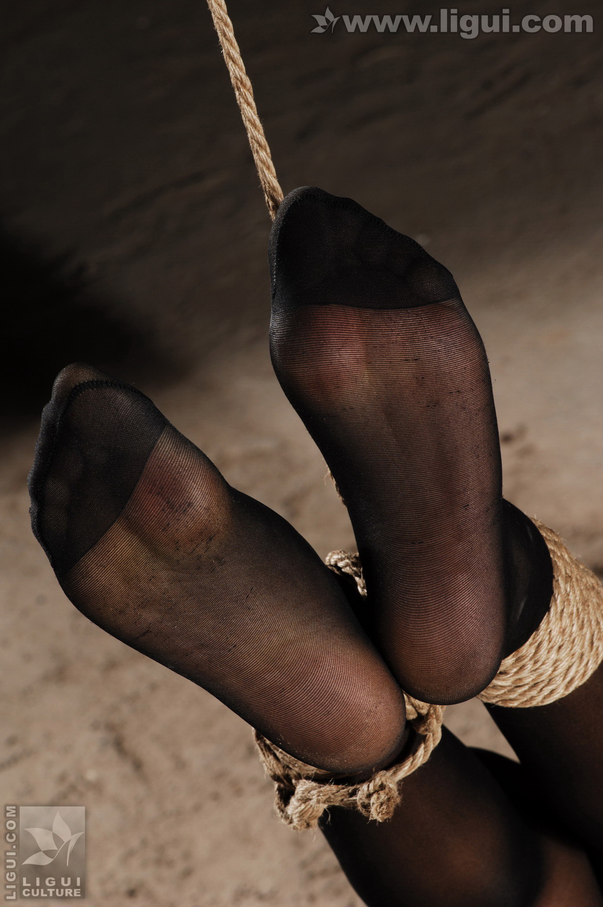 Chinese lady bondage 418