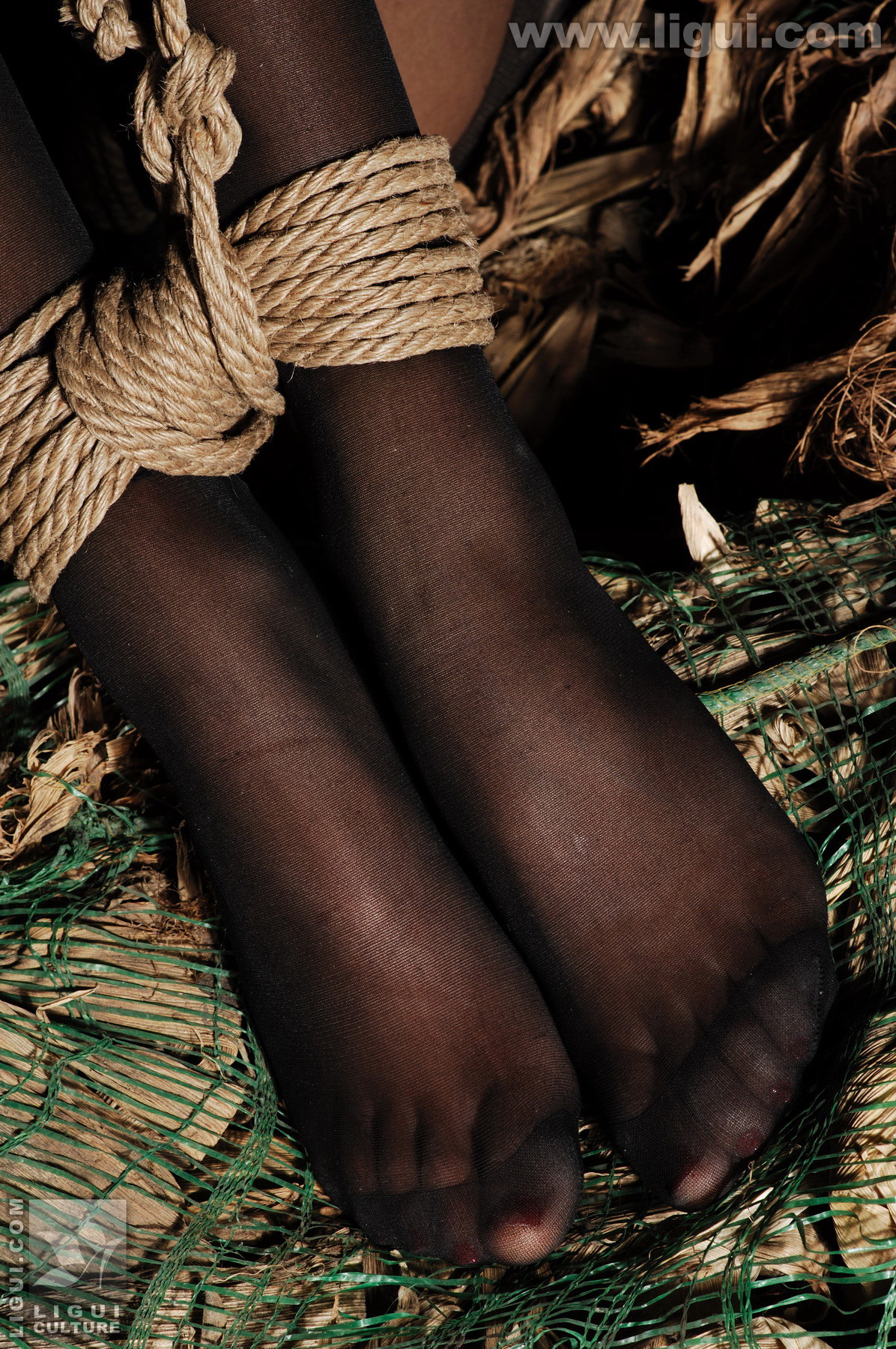 Chinese lady bondage 418