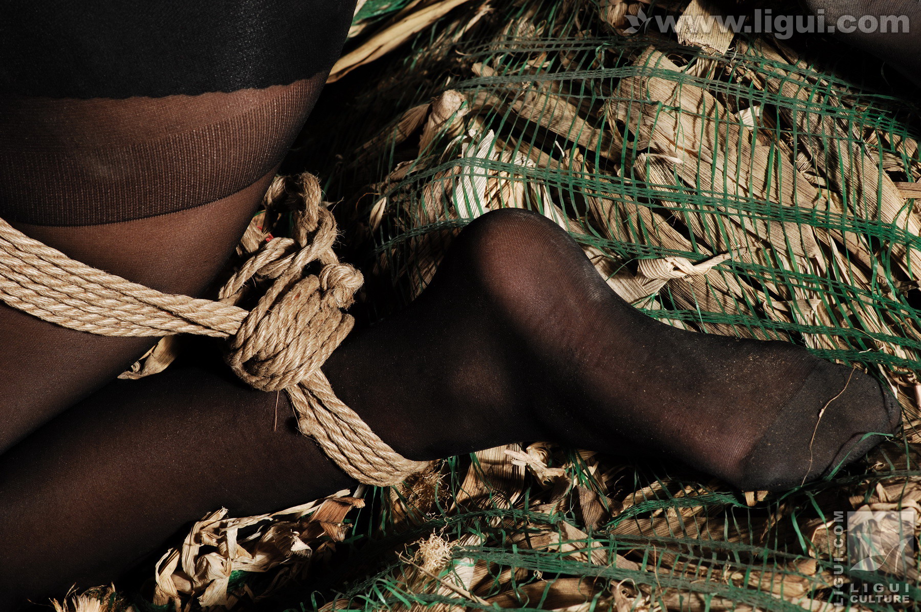 Chinese lady bondage 418