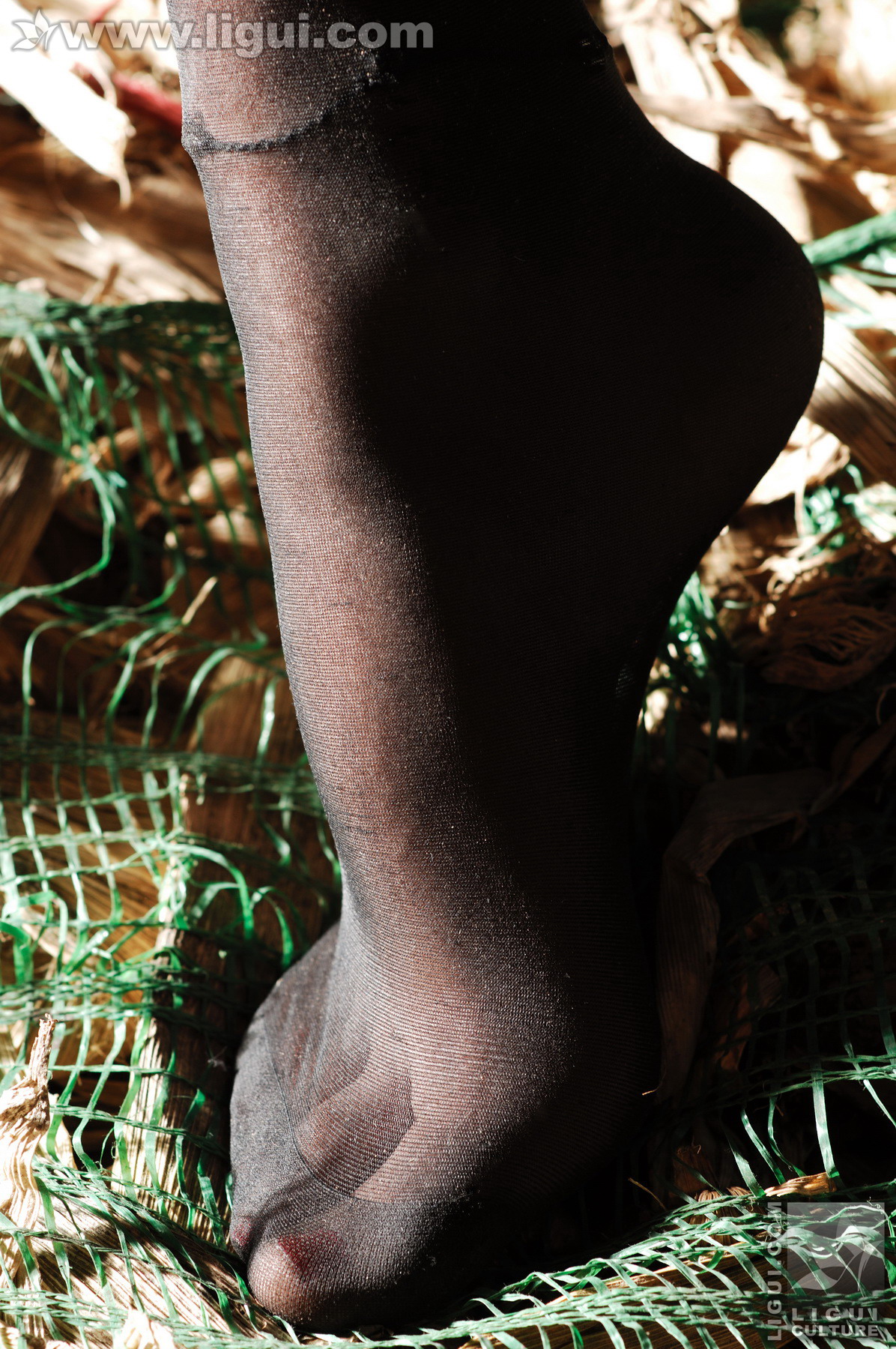 Chinese lady bondage 418