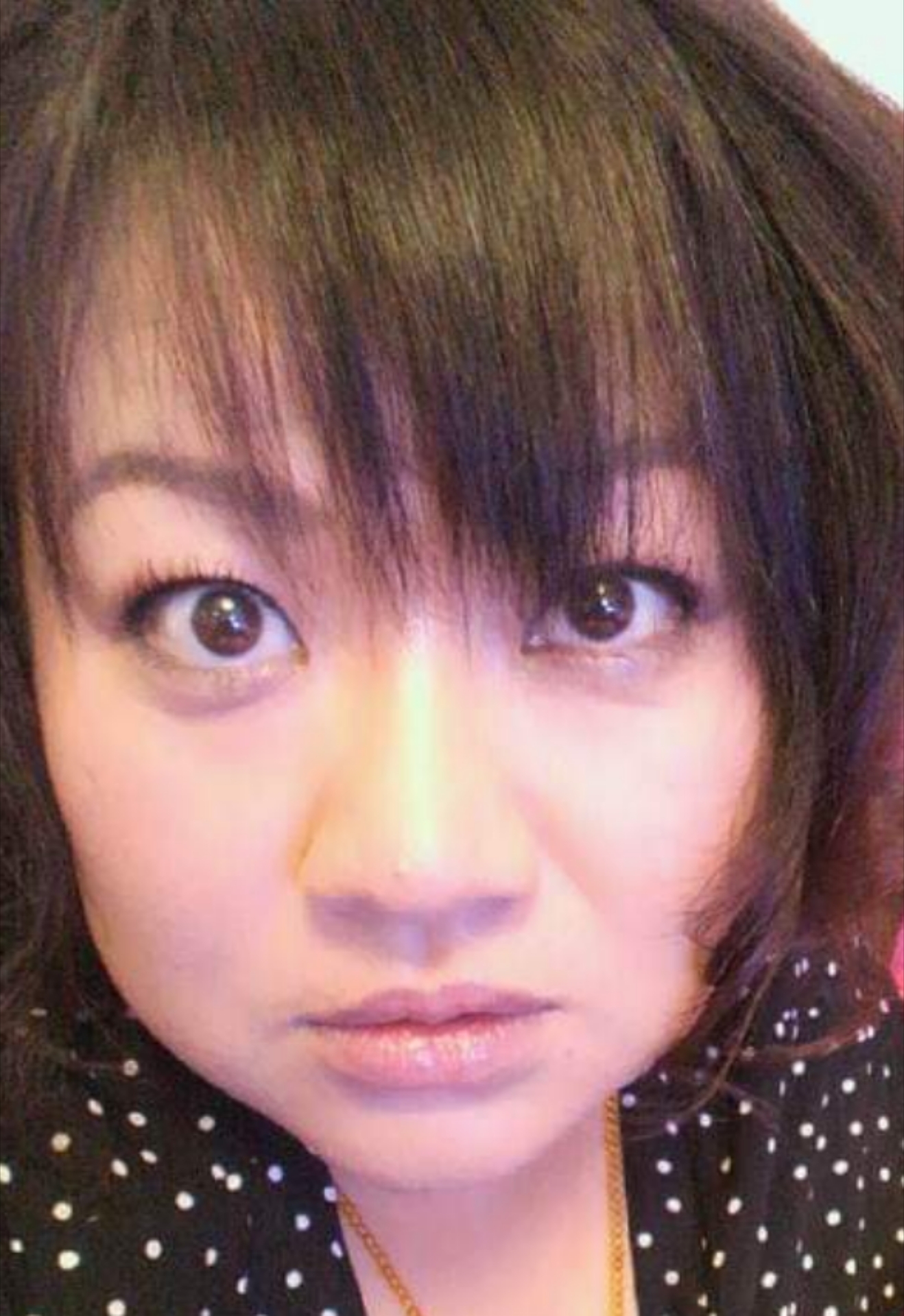 Japanese female pig junko 