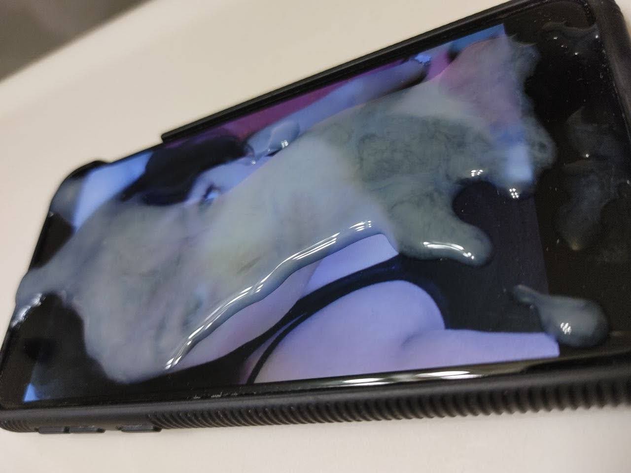 Japanese female pig junko 