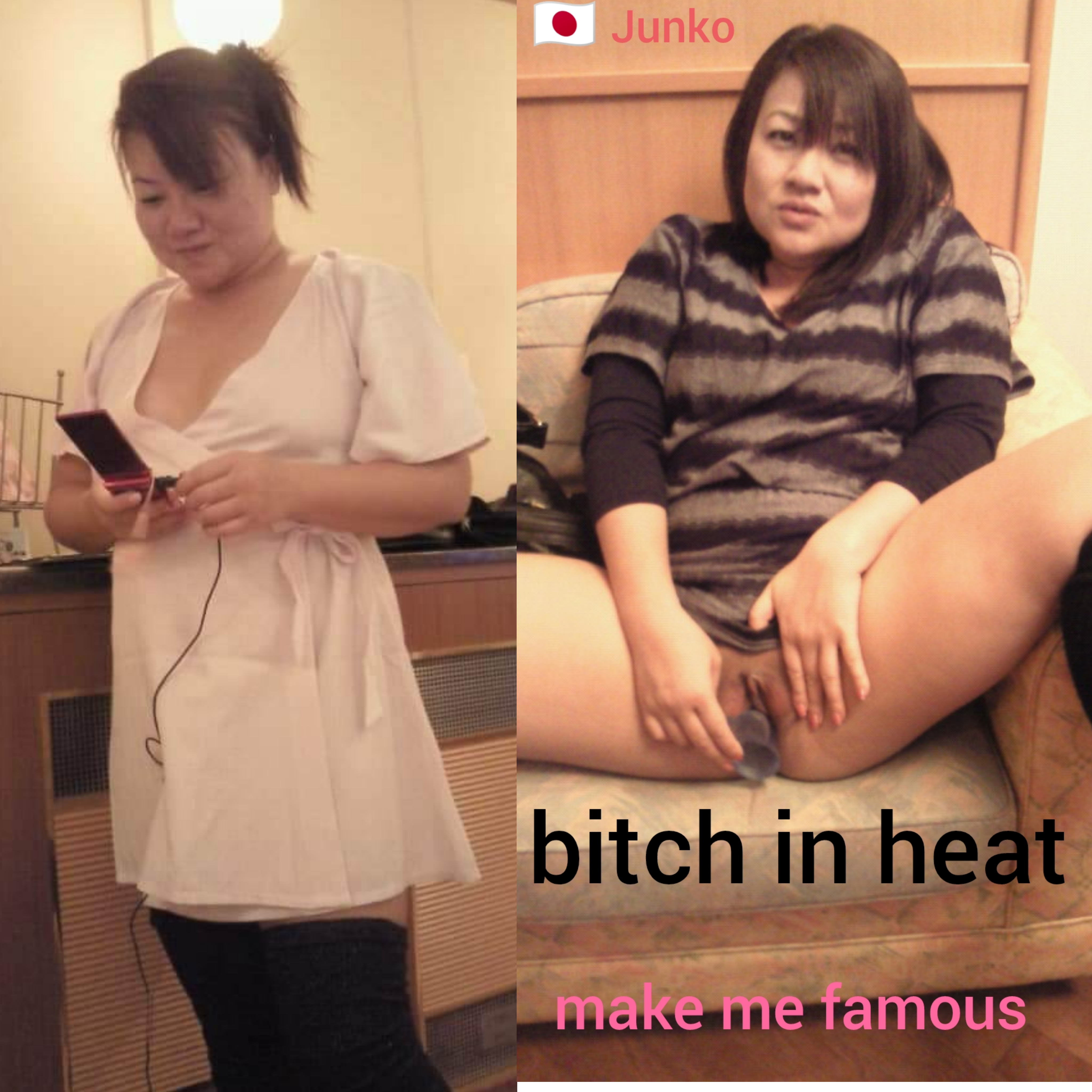 Japanese female pig junko 