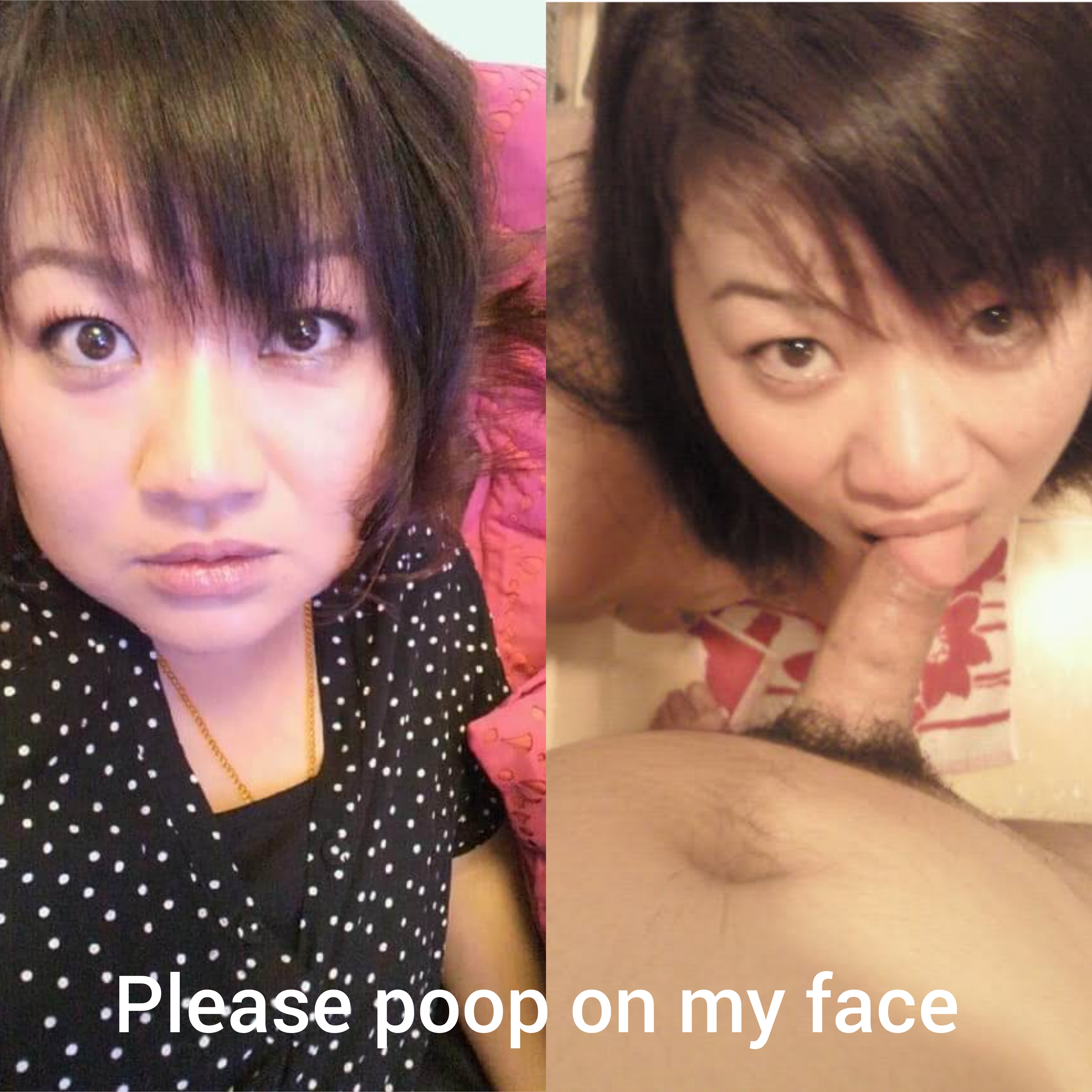 Japanese female pig junko 