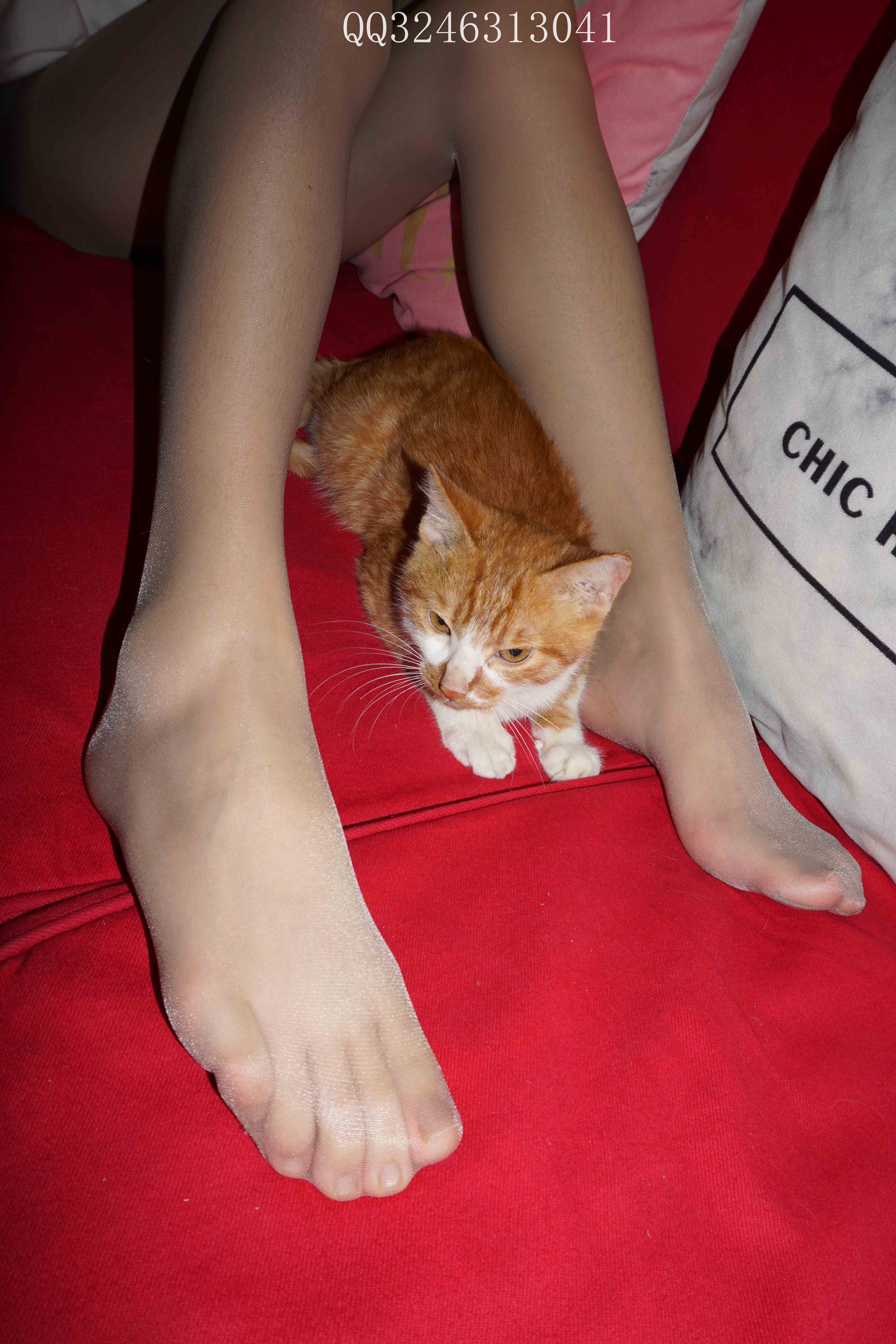 China Beauty Legs and feet 827