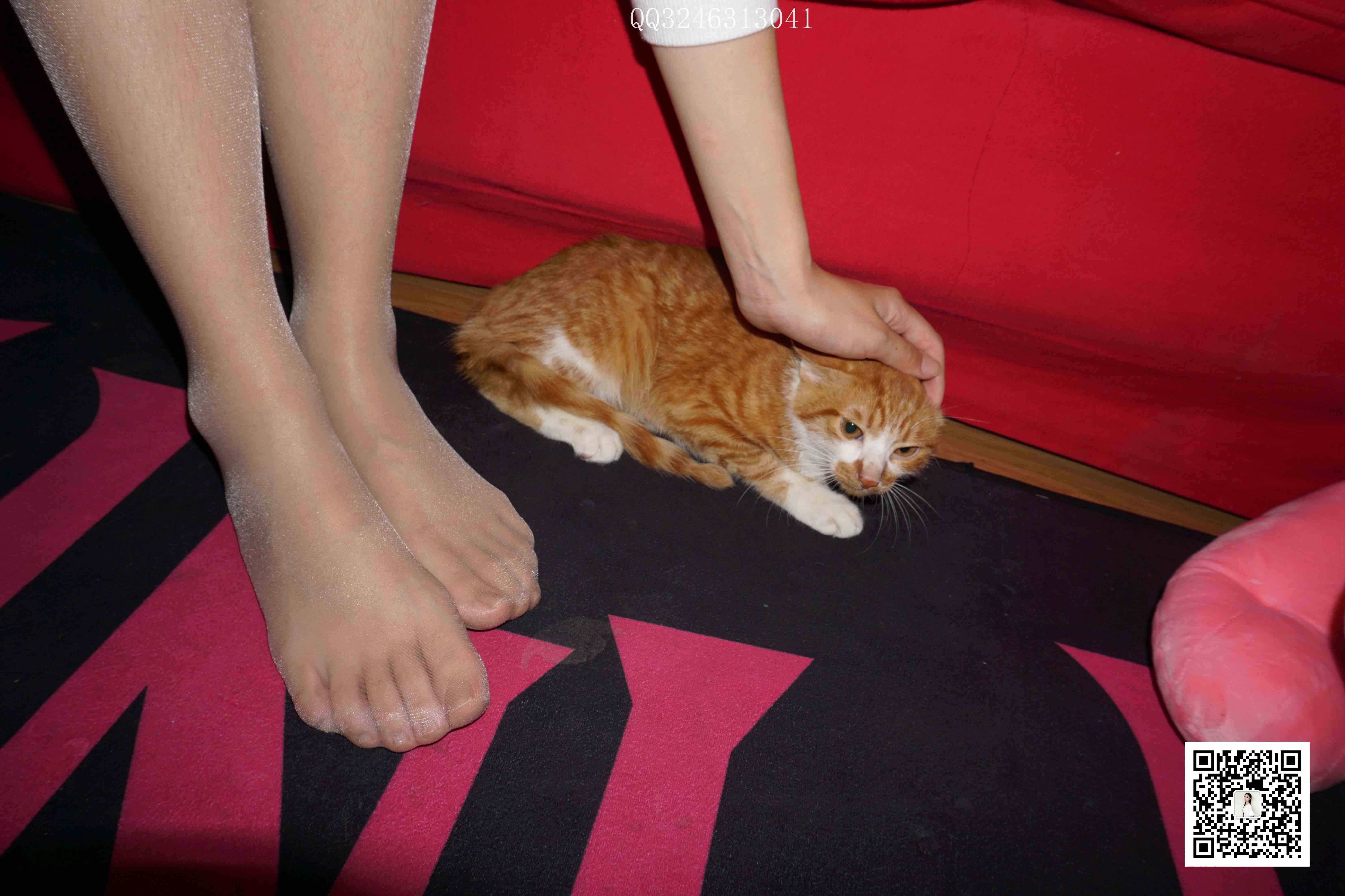 China Beauty Legs and feet 827