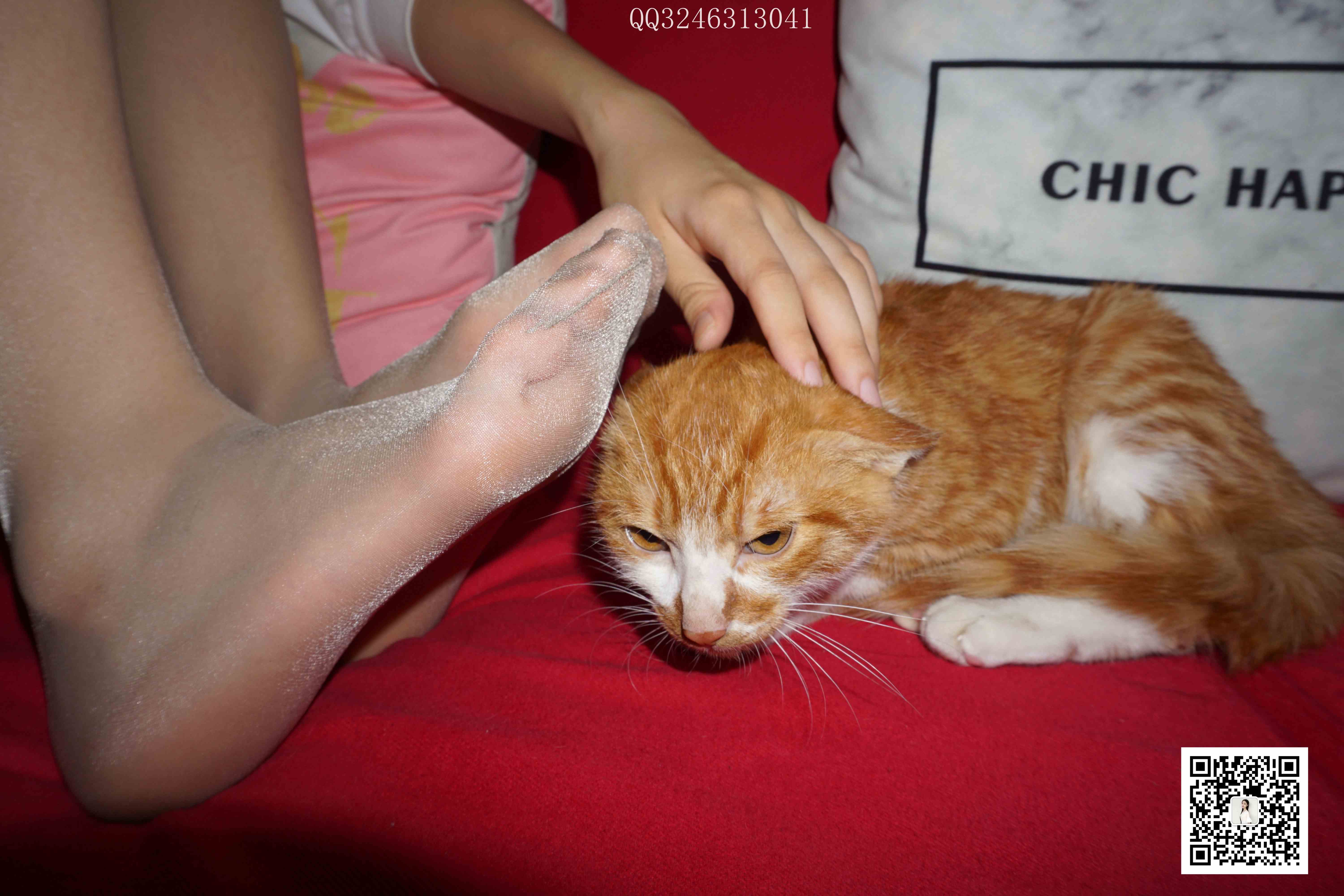 China Beauty Legs and feet 827