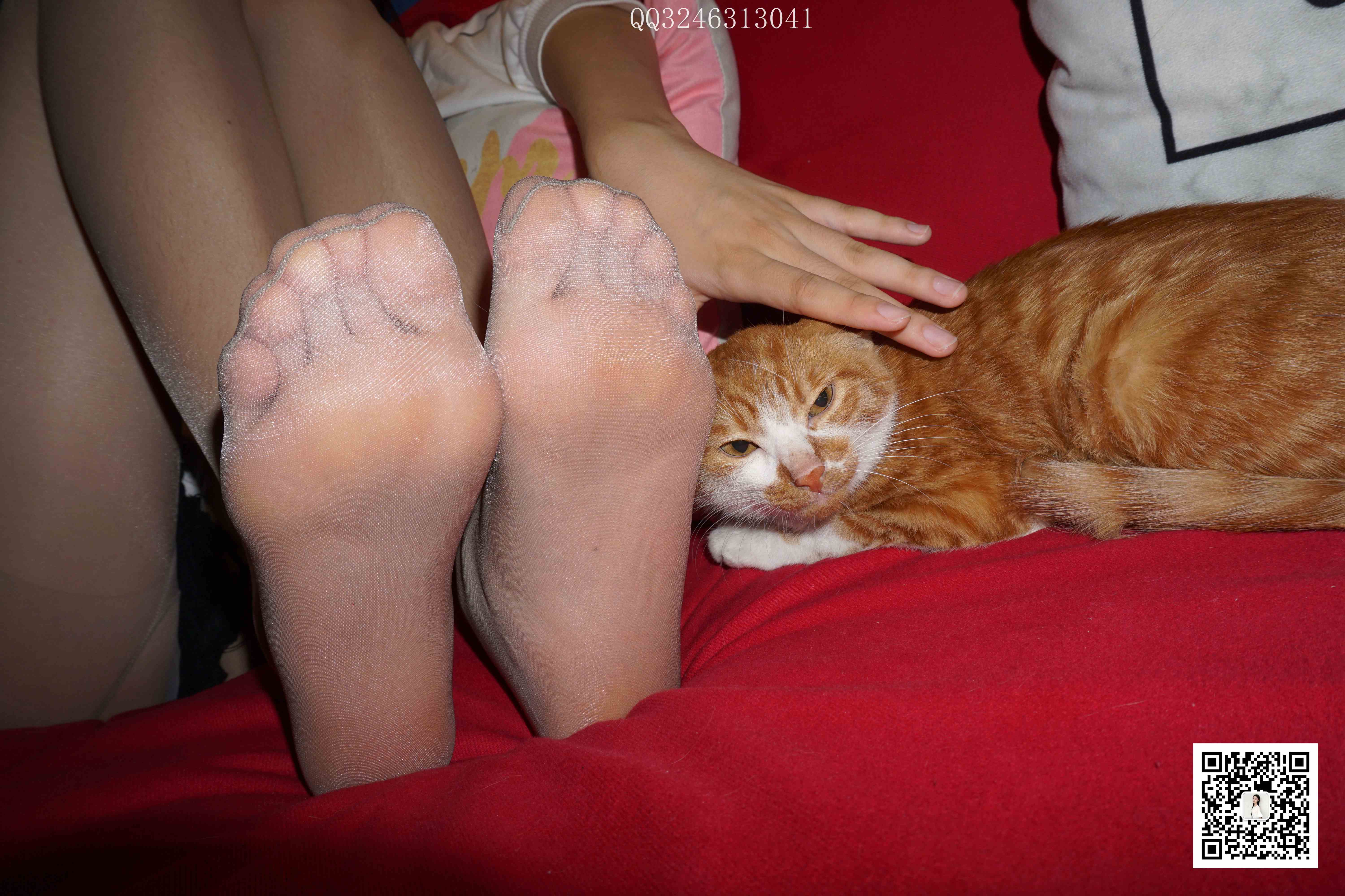 China Beauty Legs and feet 827