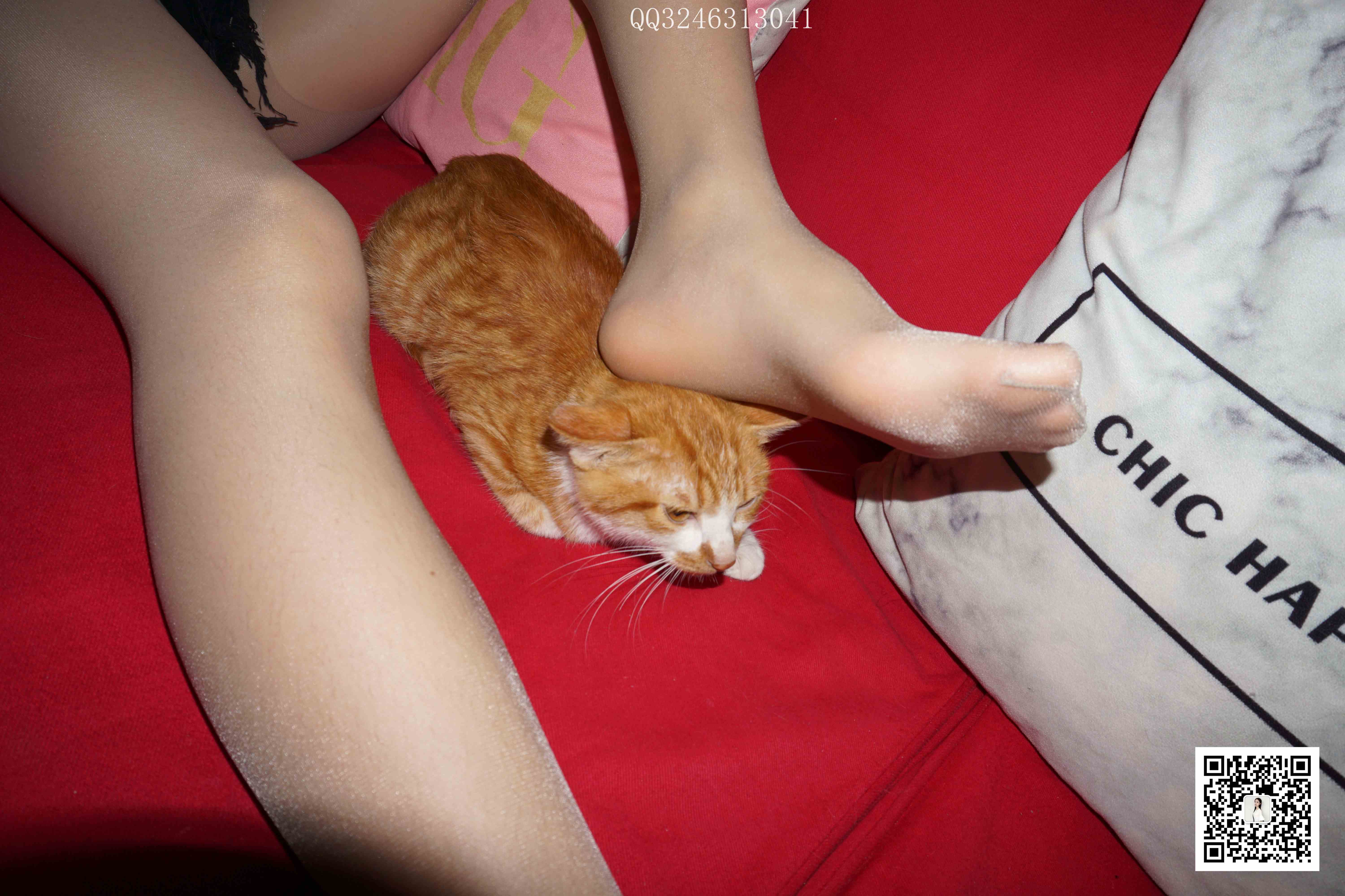 China Beauty Legs and feet 827