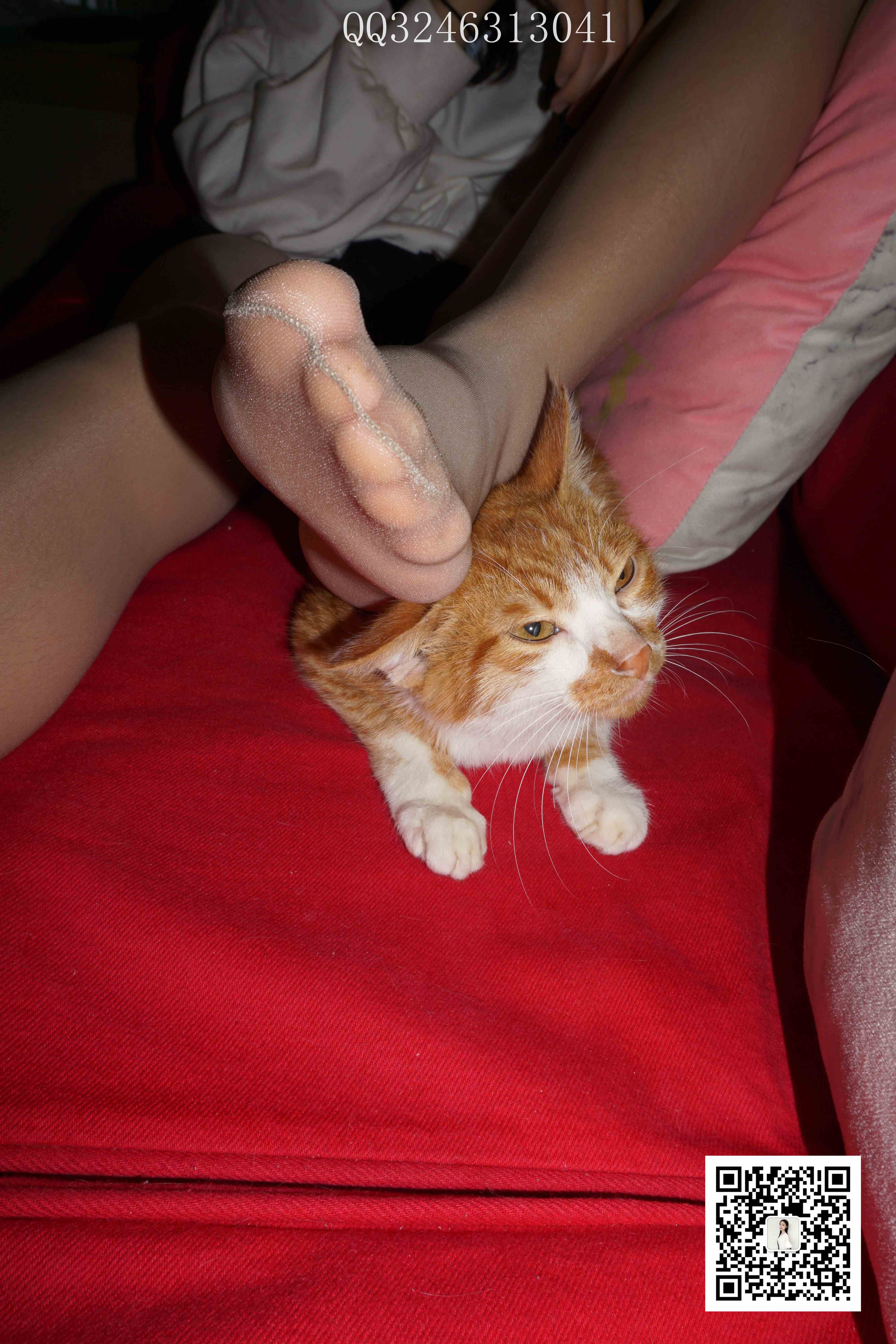 China Beauty Legs and feet 827