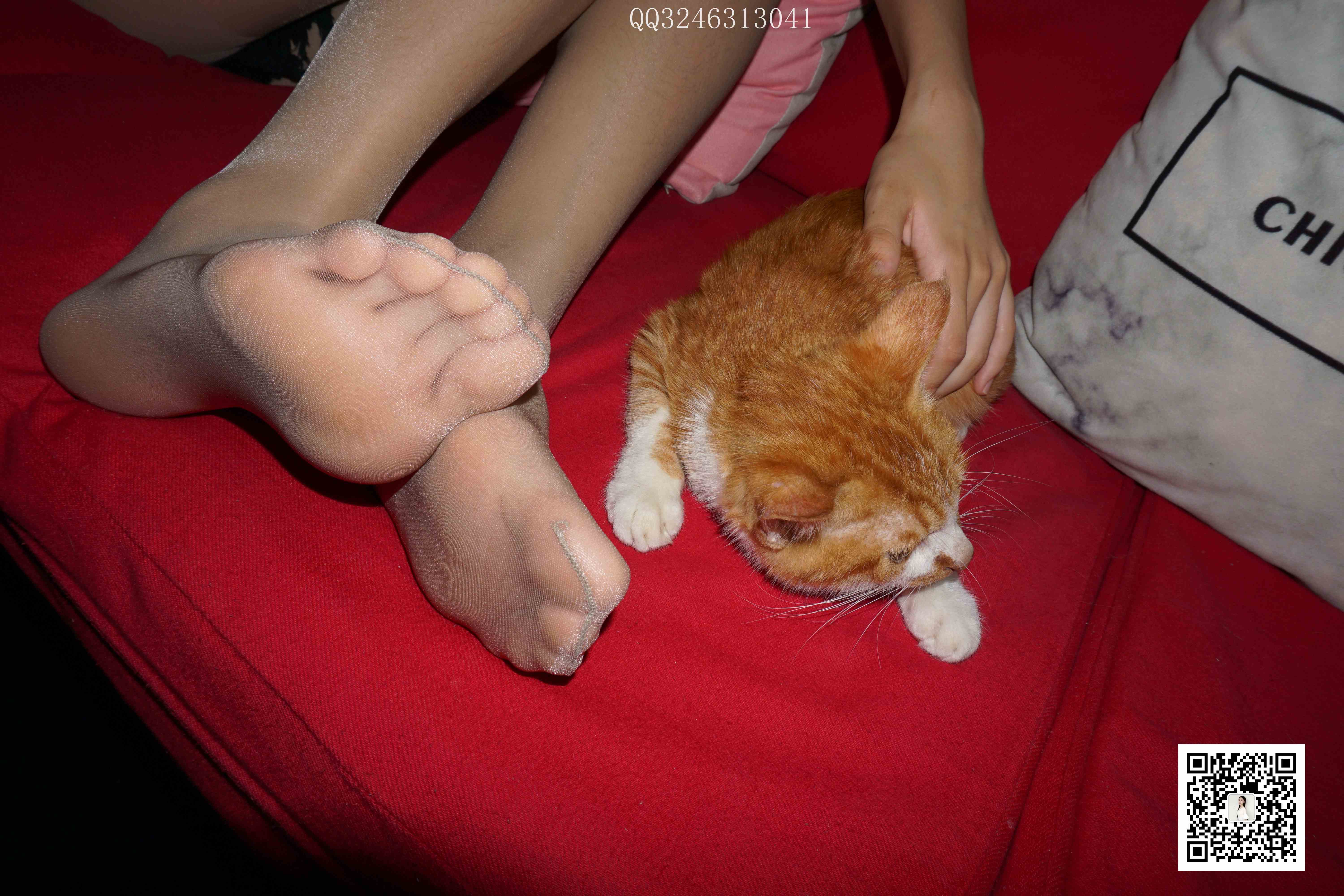 China Beauty Legs and feet 827