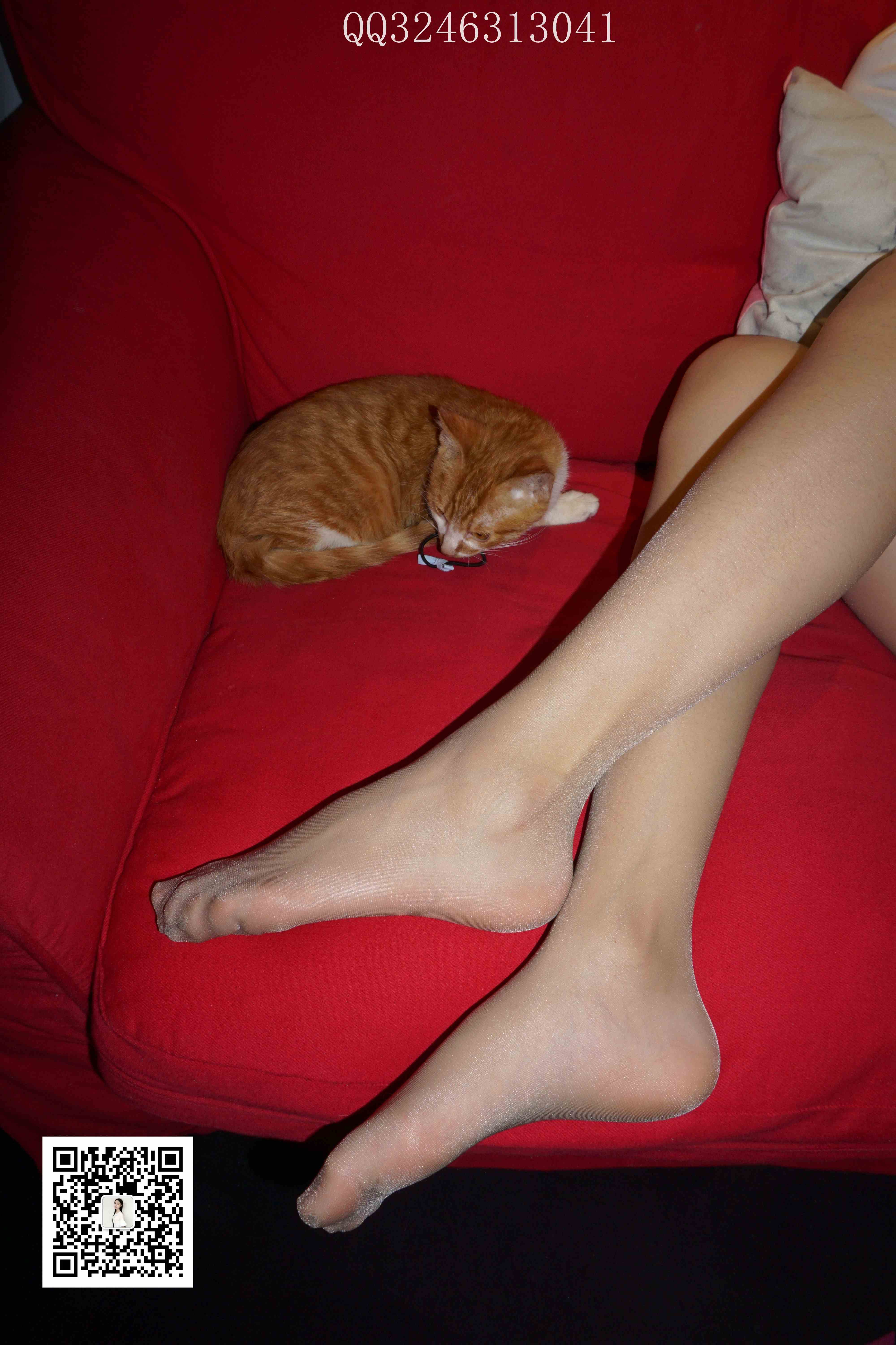 China Beauty Legs and feet 827