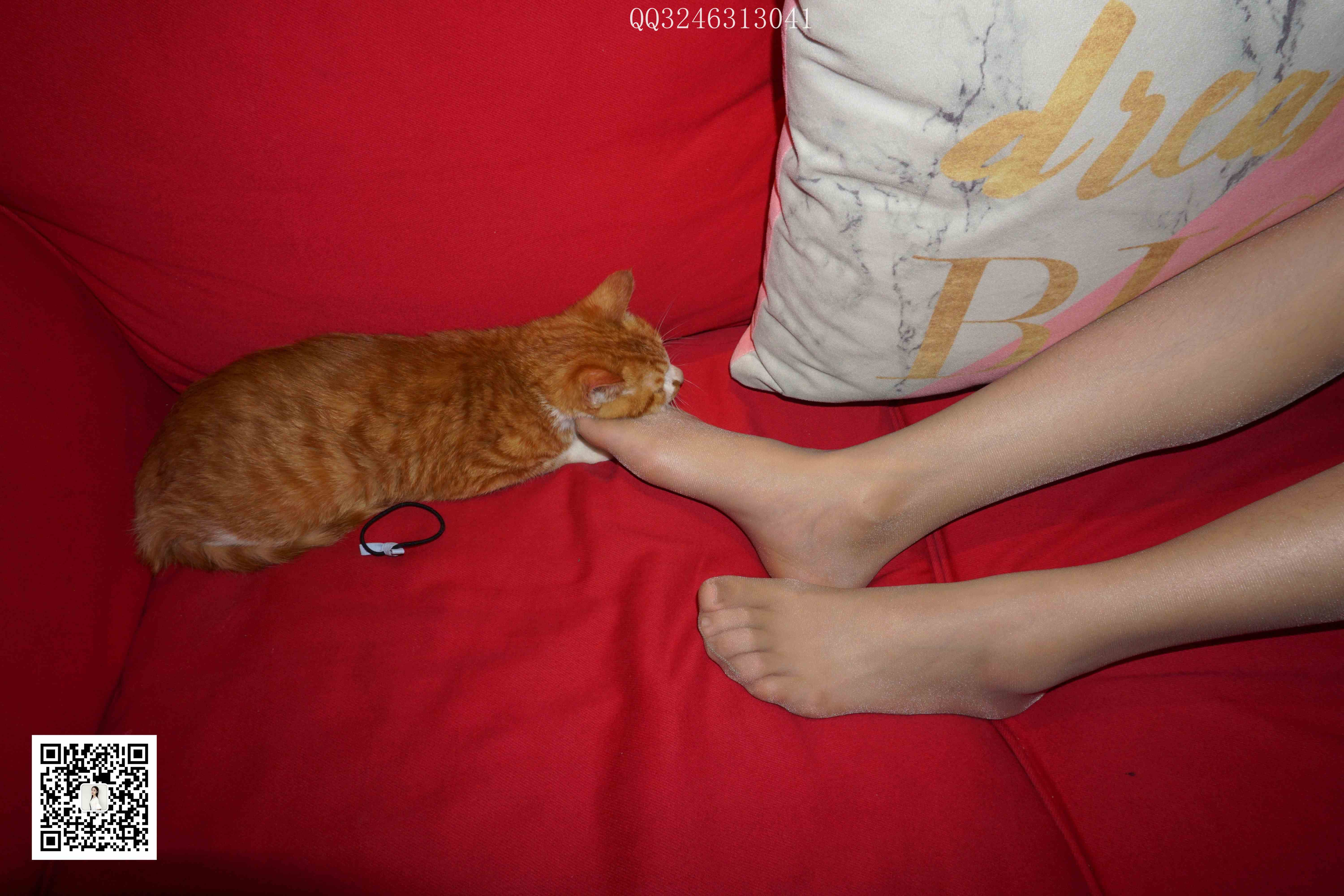 China Beauty Legs and feet 827