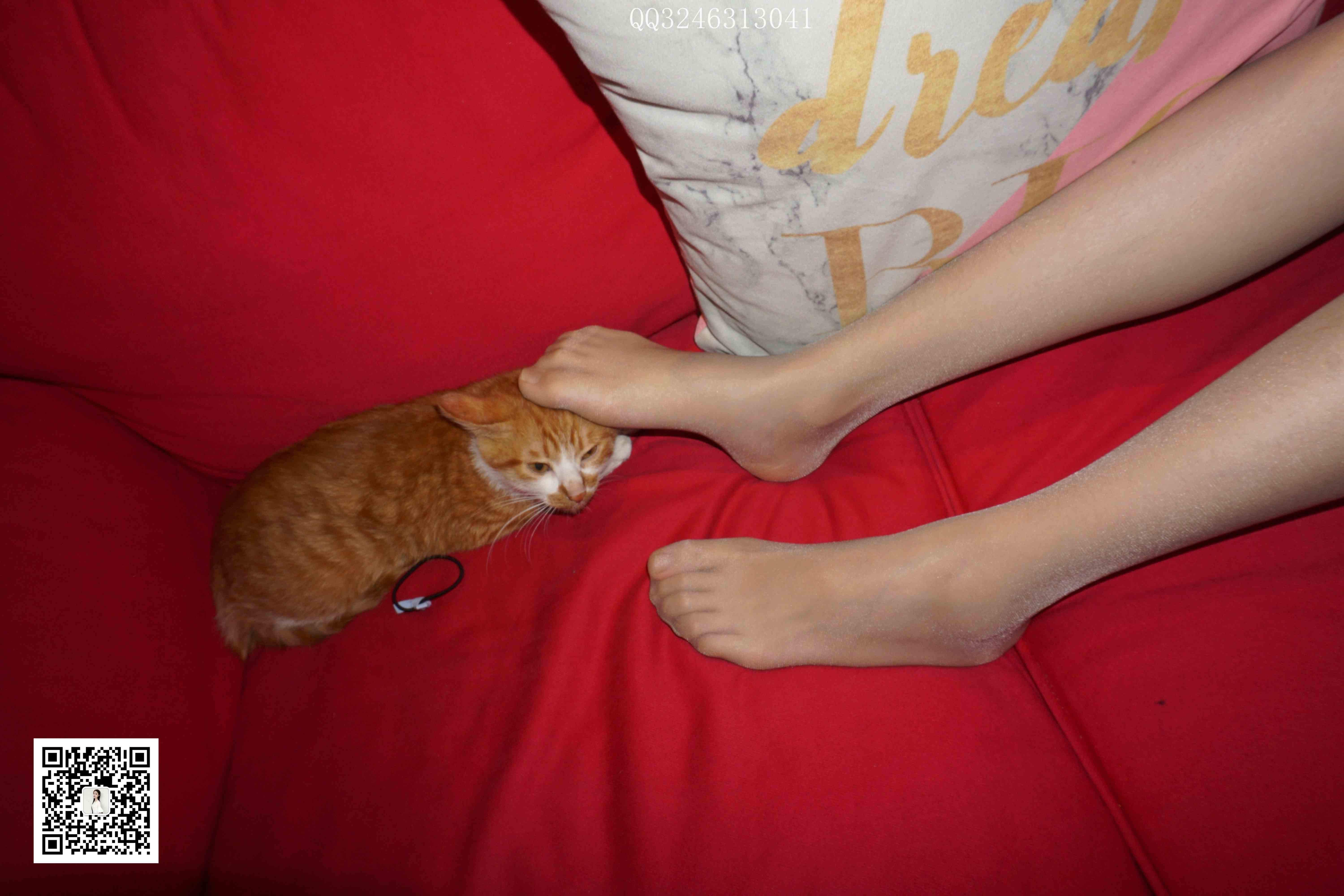 China Beauty Legs and feet 827