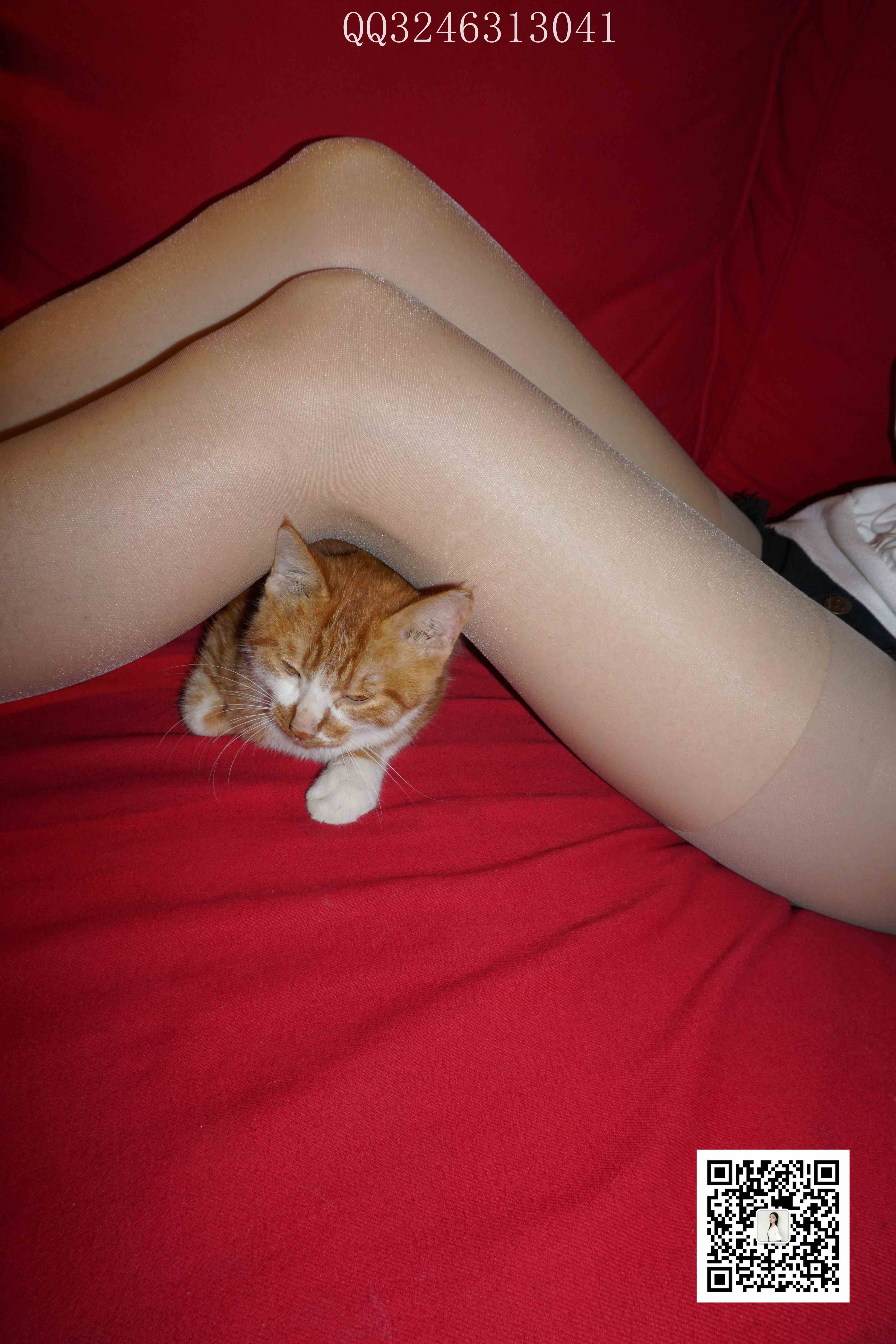 China Beauty Legs and feet 827