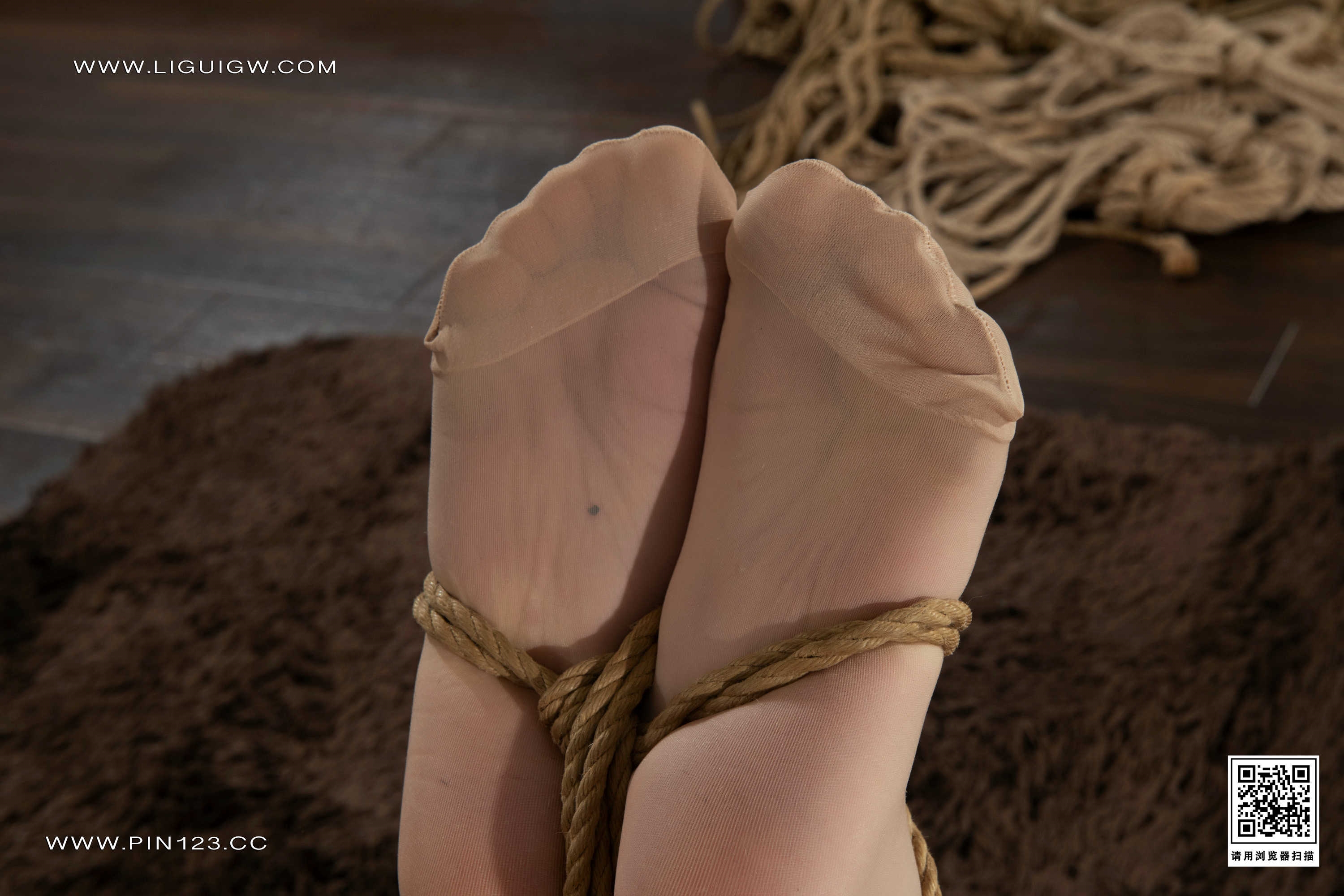 Chinese lady bondage 568（Japanese model）