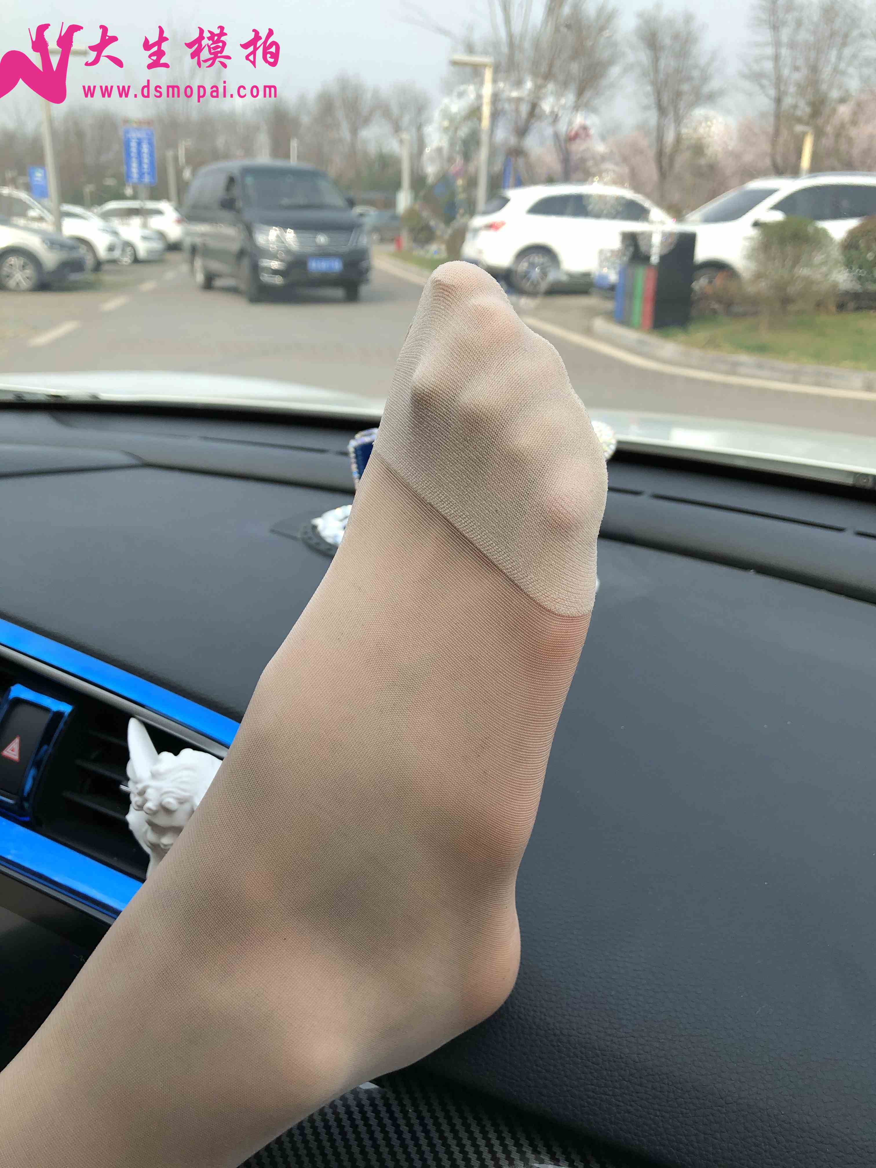 China Beauty Legs and feet 1007