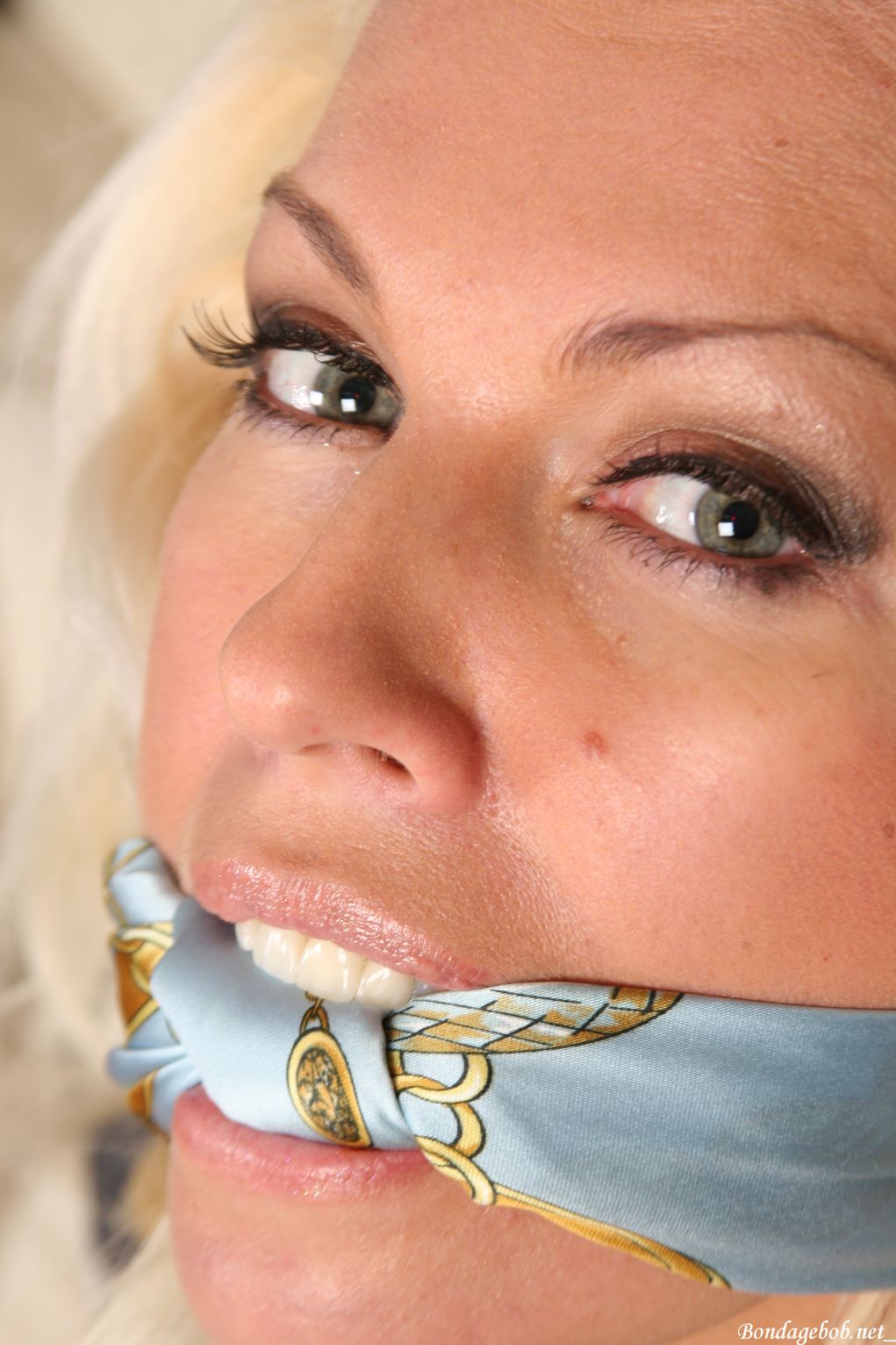 Tied Sexy Beauties 251-2