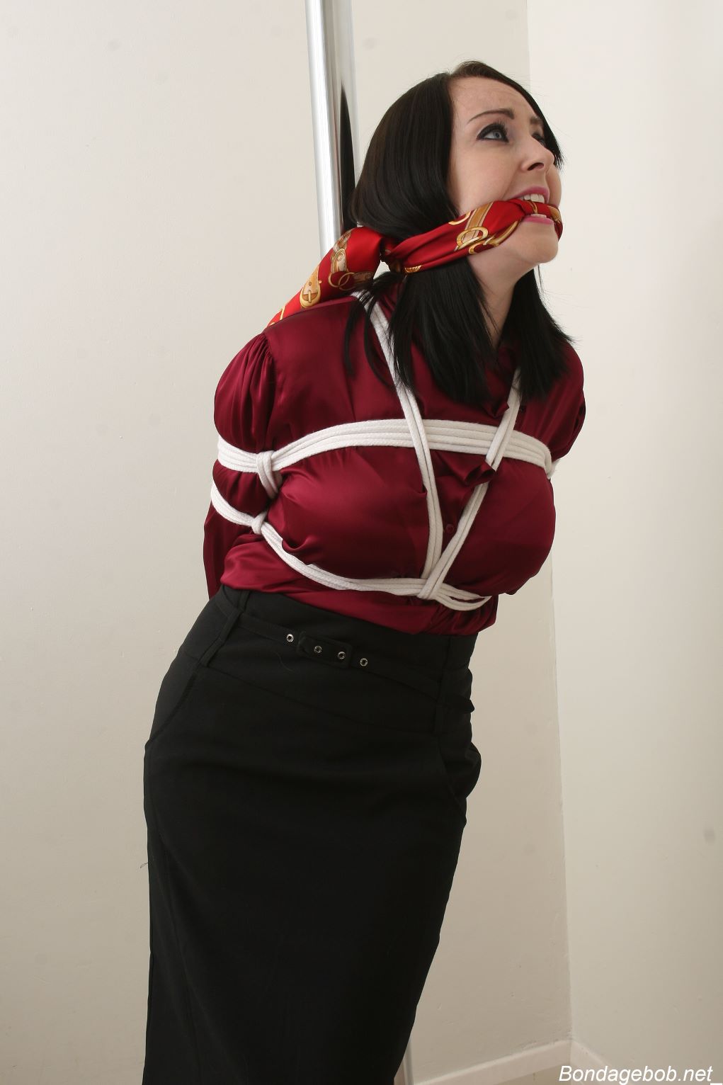 Tied Sexy Beauties 256-1