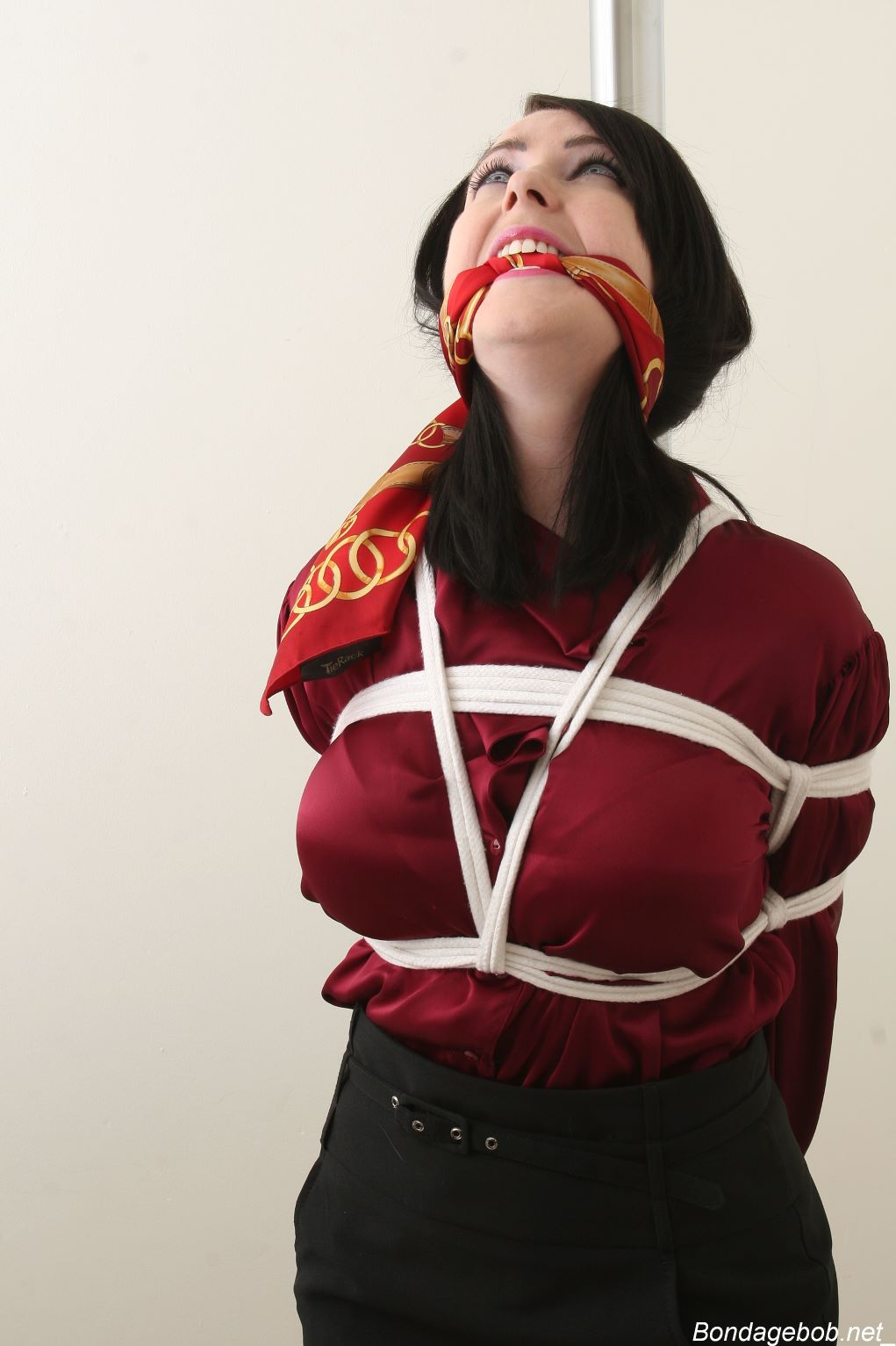 Tied Sexy Beauties 256-2