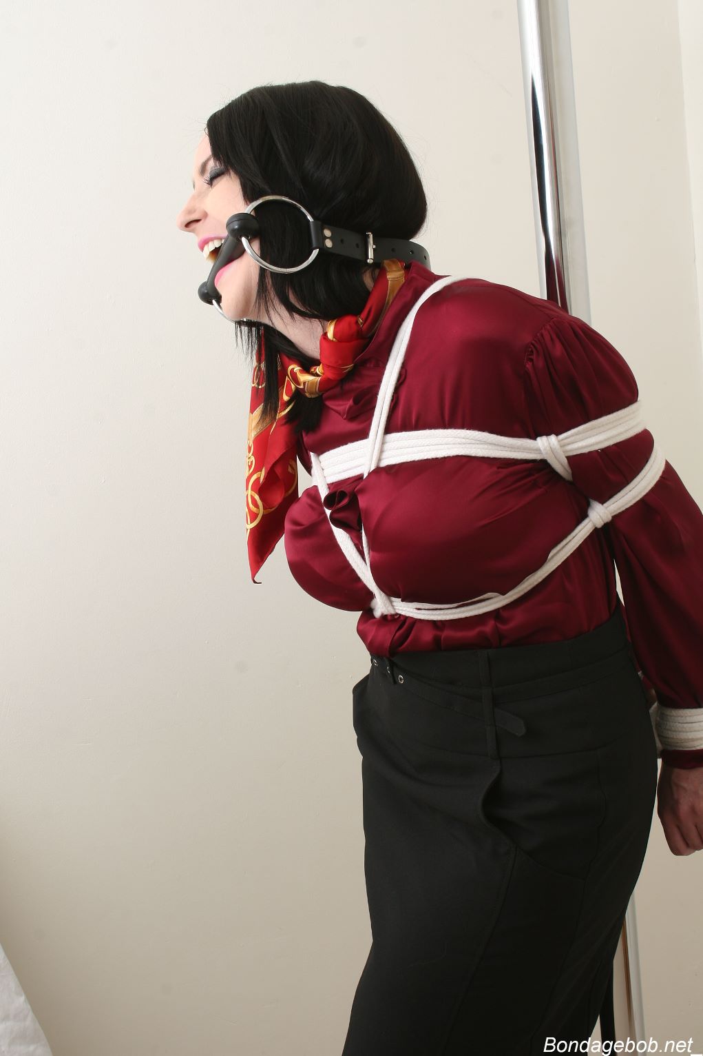 Tied Sexy Beauties 256-3