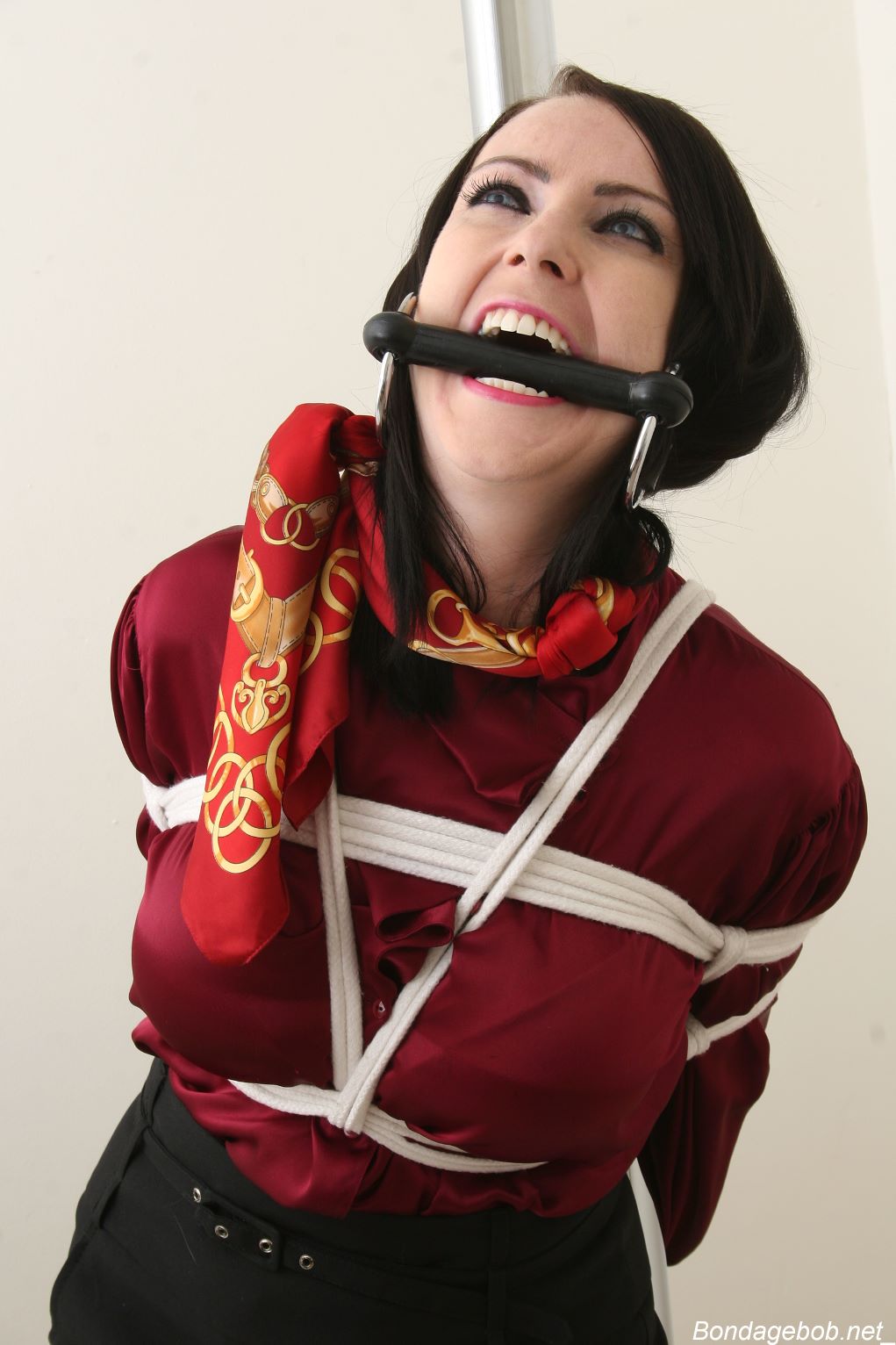 Tied Sexy Beauties 256-3