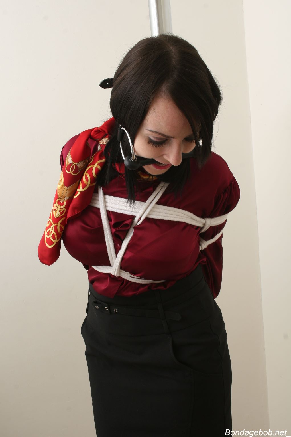 Tied Sexy Beauties 256-3