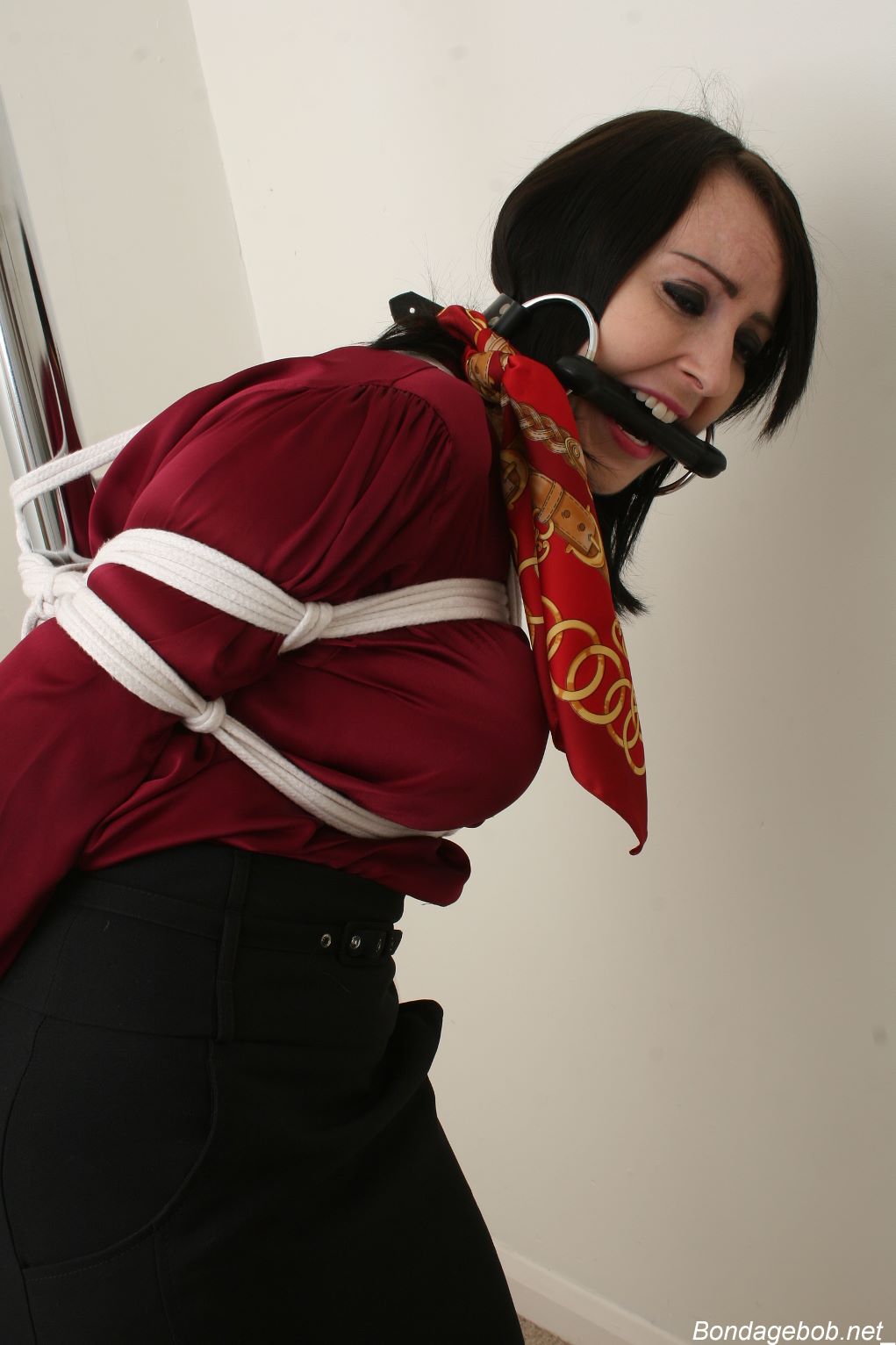 Tied Sexy Beauties 256-3